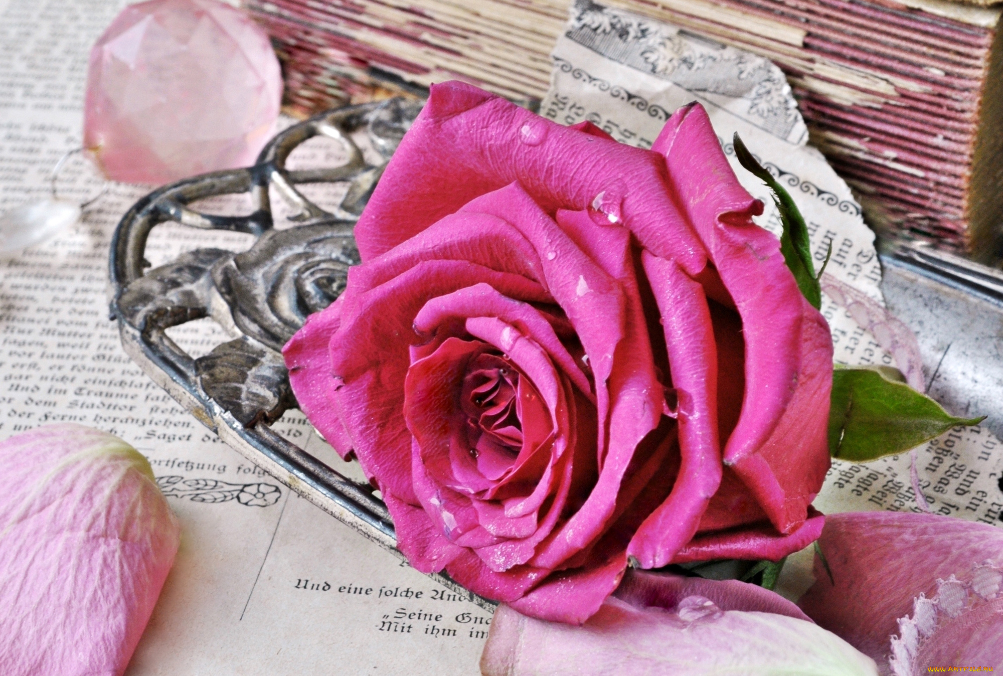 цветы, розы, роза, розовая, бутон, винтаж, стиль, книги, старые, страницы, лепестки