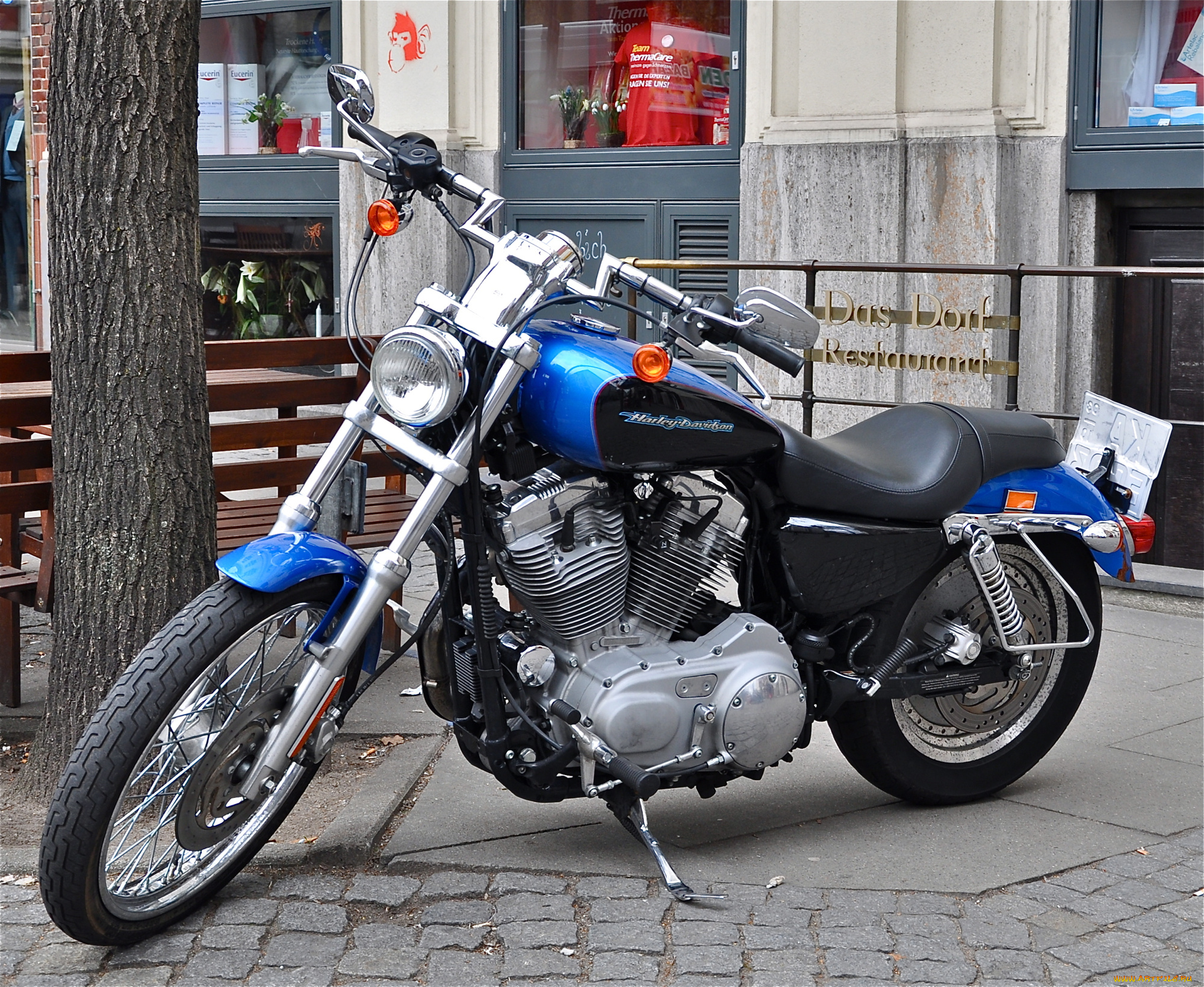 мотоциклы, harley-davidson, sportster