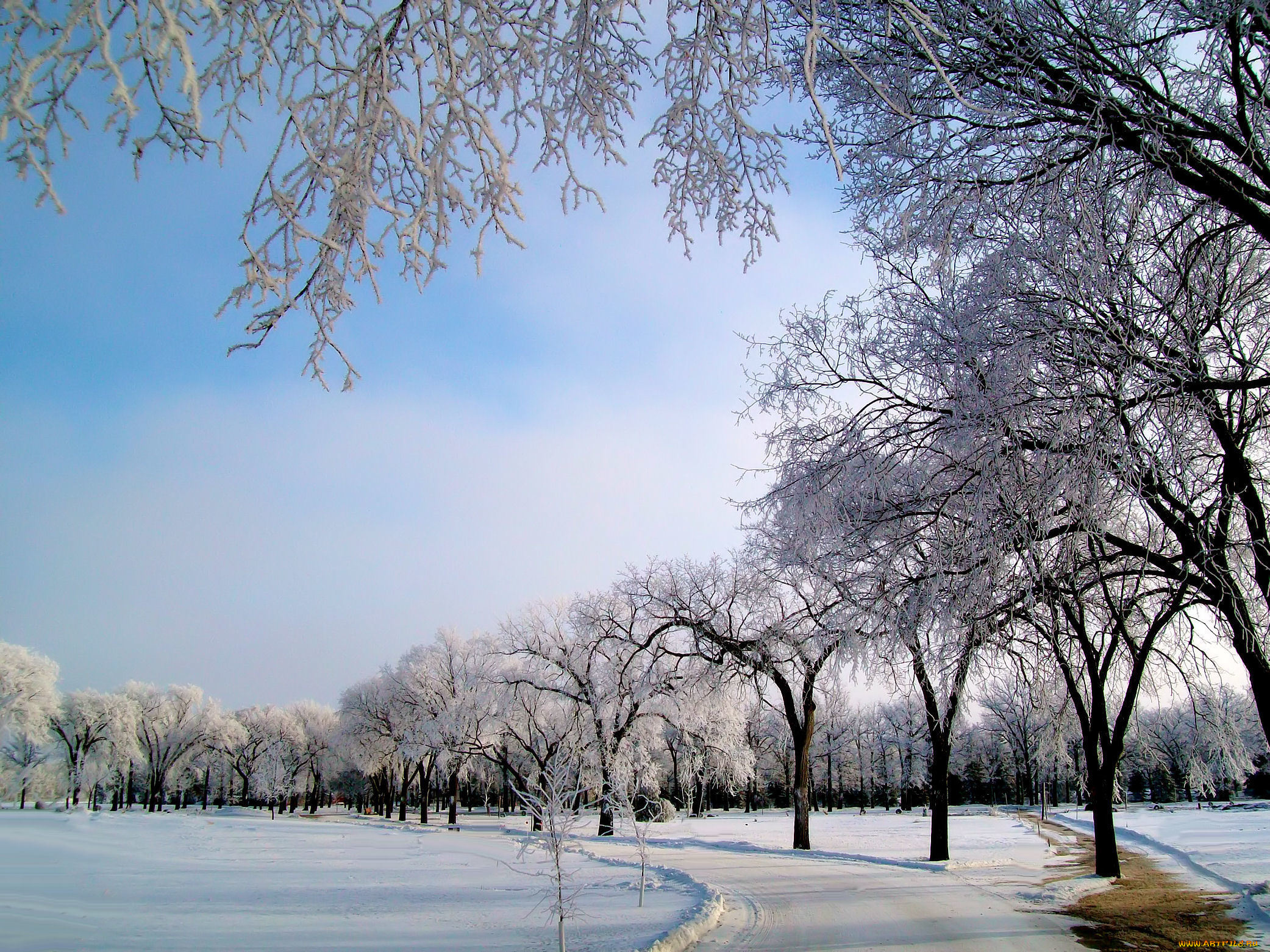 природа, зима, деревья, снег, мороз, дорога, иней