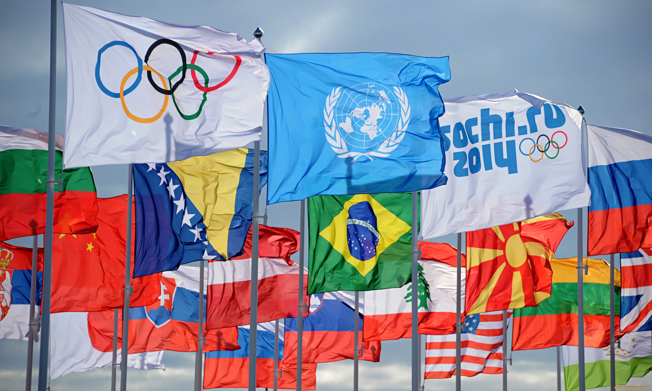 разное, флаги, , гербы, страны, ветер, кольца, олимпиада, сочи