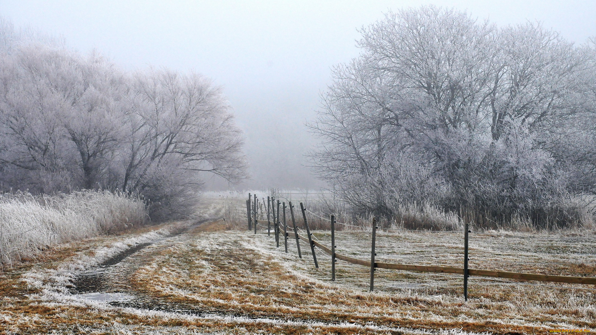 природа, зима, утро, забор, туман, поле
