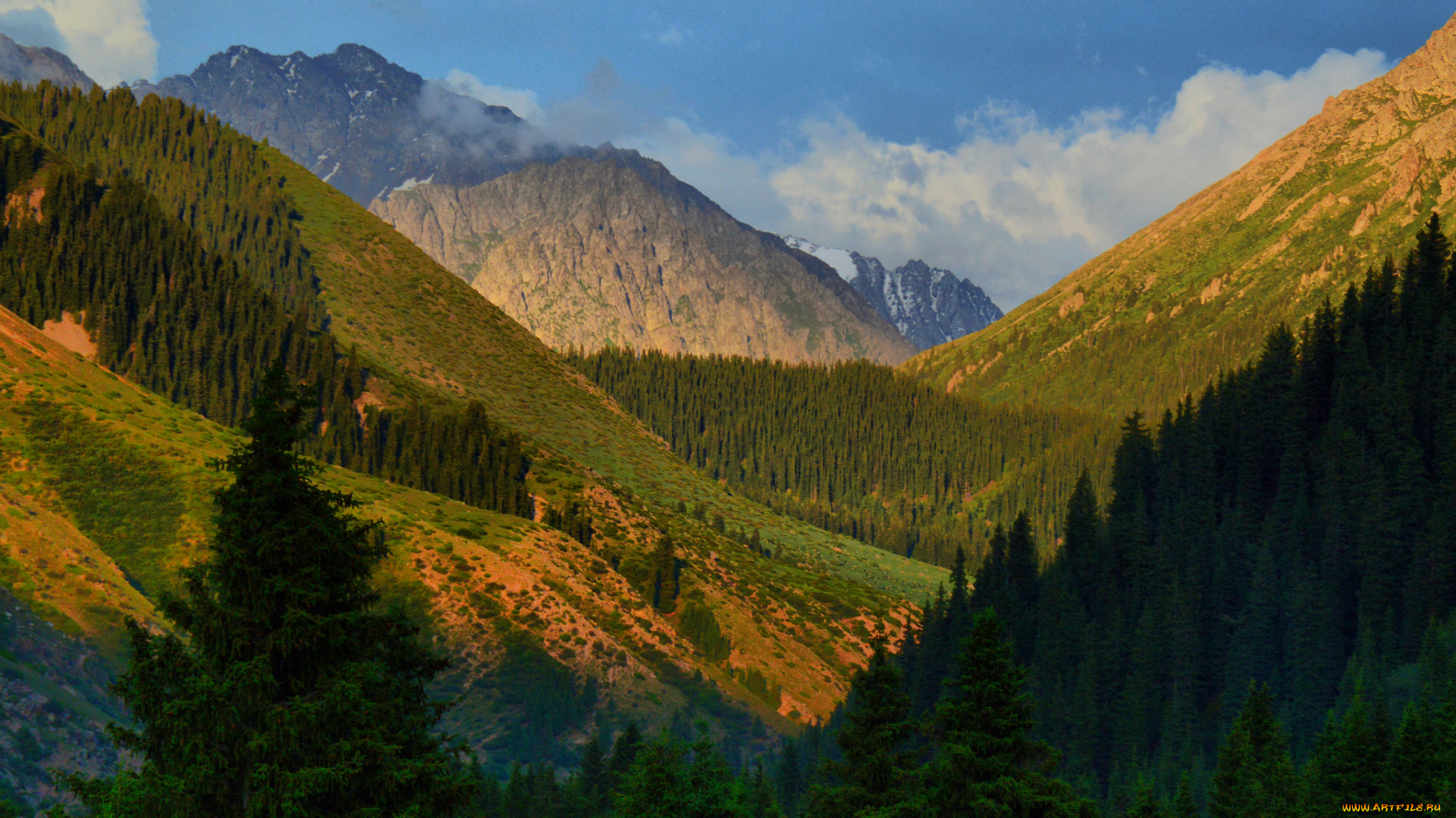 природа, горы, ущелье, джеты-огуз, деревья, киргизстан, киргизия