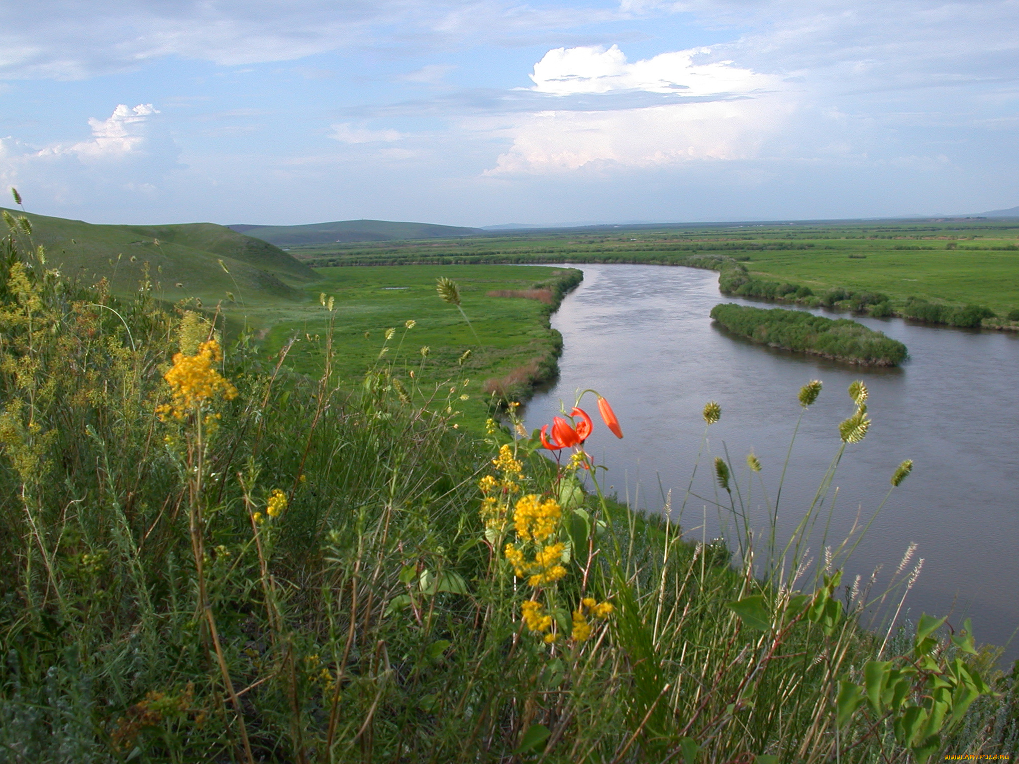 аргунь, природа, реки, озера, россия, забайкалье, река