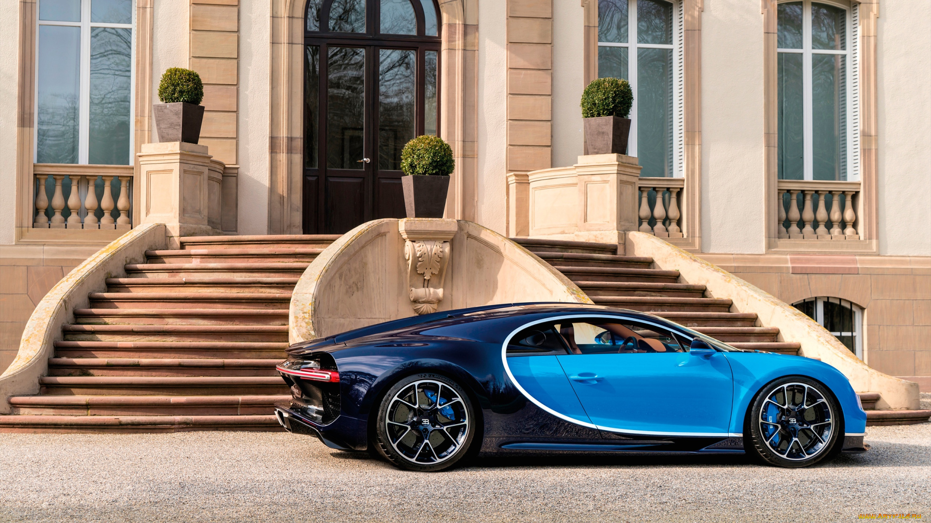 автомобили, bugatti, chiron