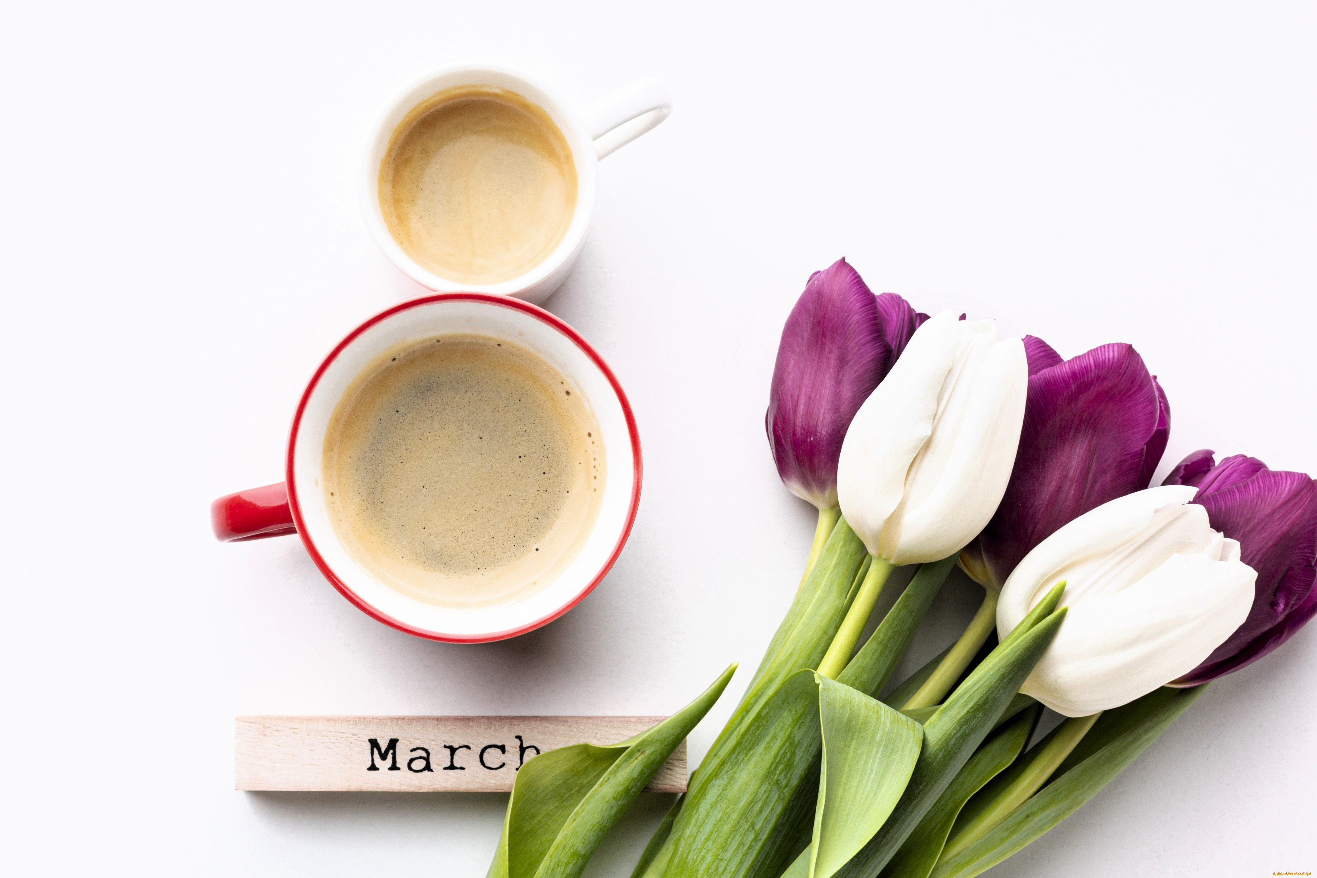 праздничные, международный, женский, день, -, 8, марта, чашки, кофе, тюльпаны