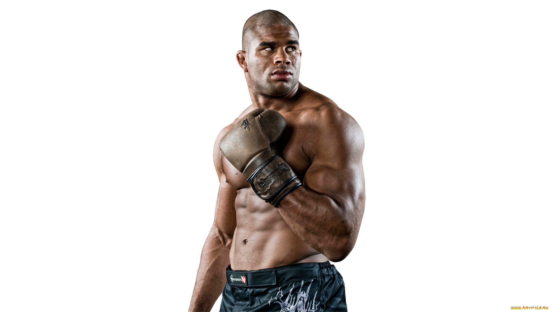 alistar, overeem, мужчины, боец, кикбоксёр