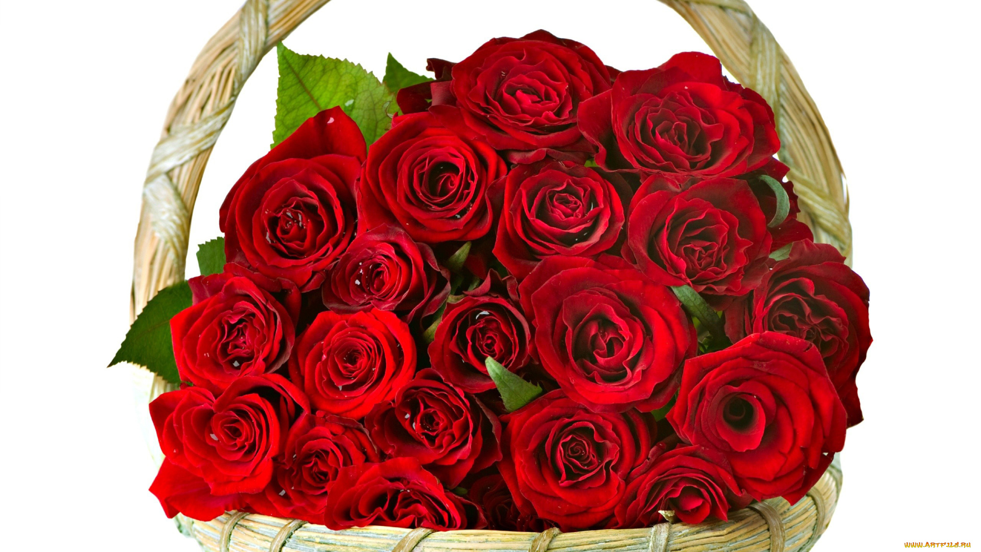 цветы, розы, корзинка, букет, красный