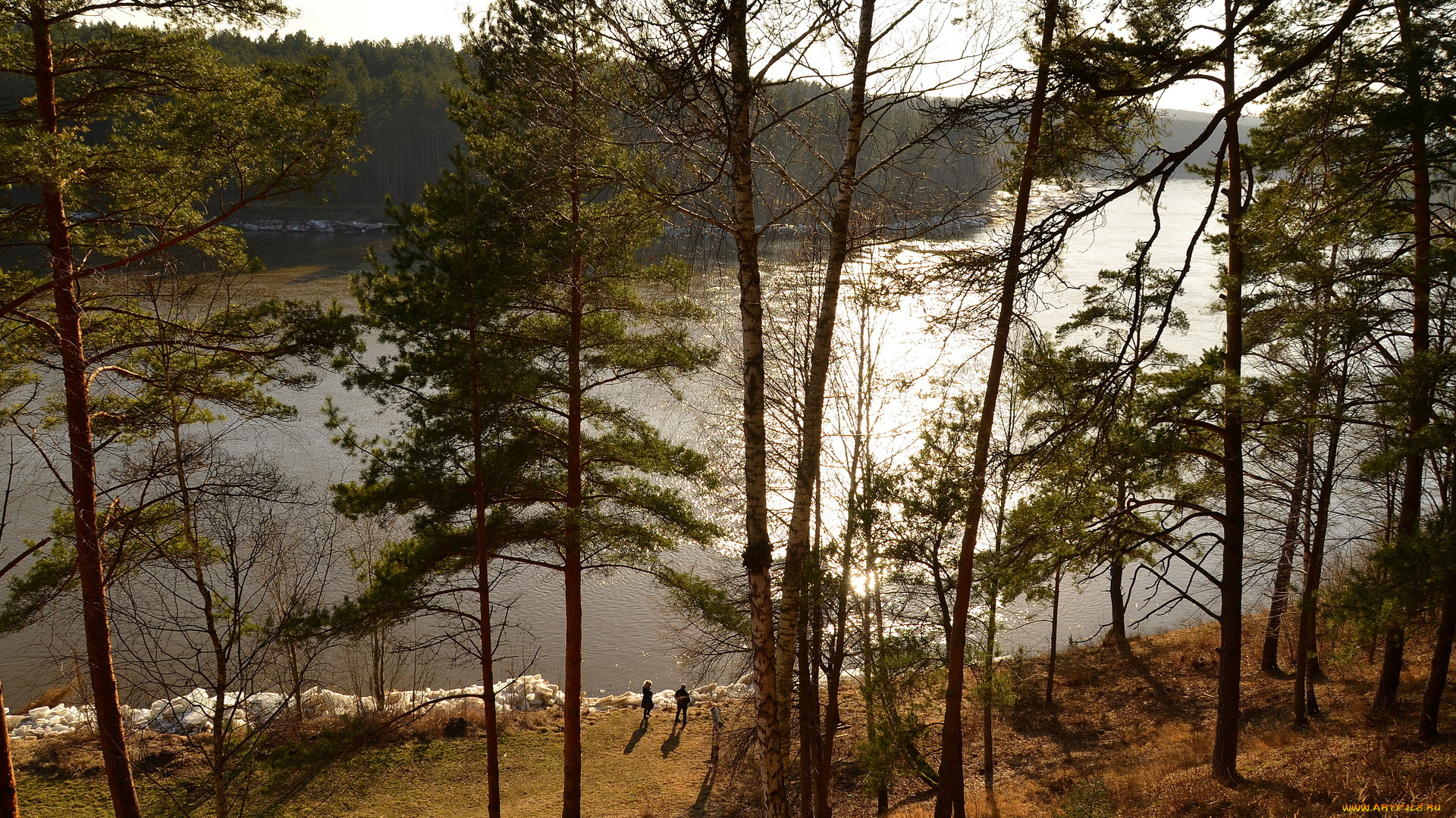 природа, реки, озера, river, nemunas, prienai, литва