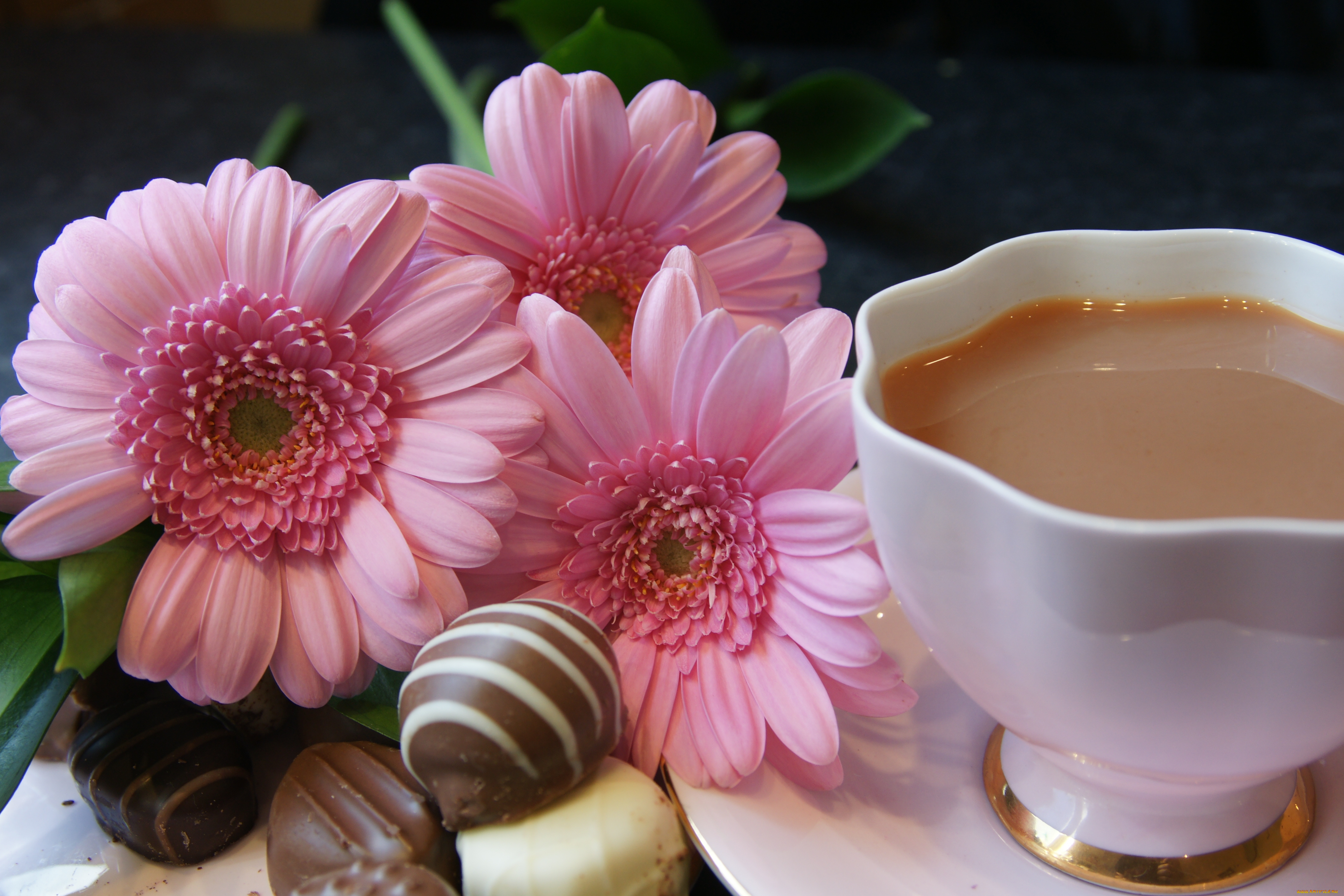 Доброго дня женщине видео. Кофе и цветы. Утренние цветы. Чашка кофе и цветы. Кофе с цветами.