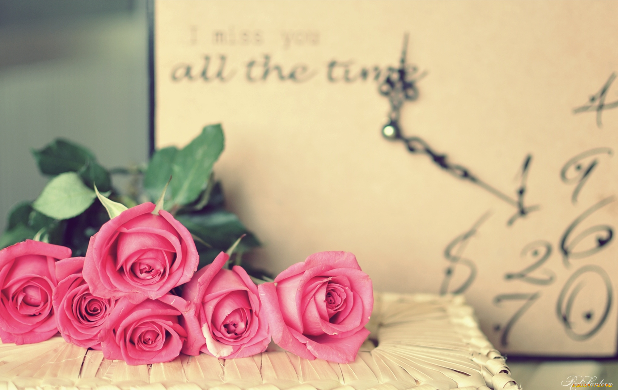 цветы, розы, розовый, часы
