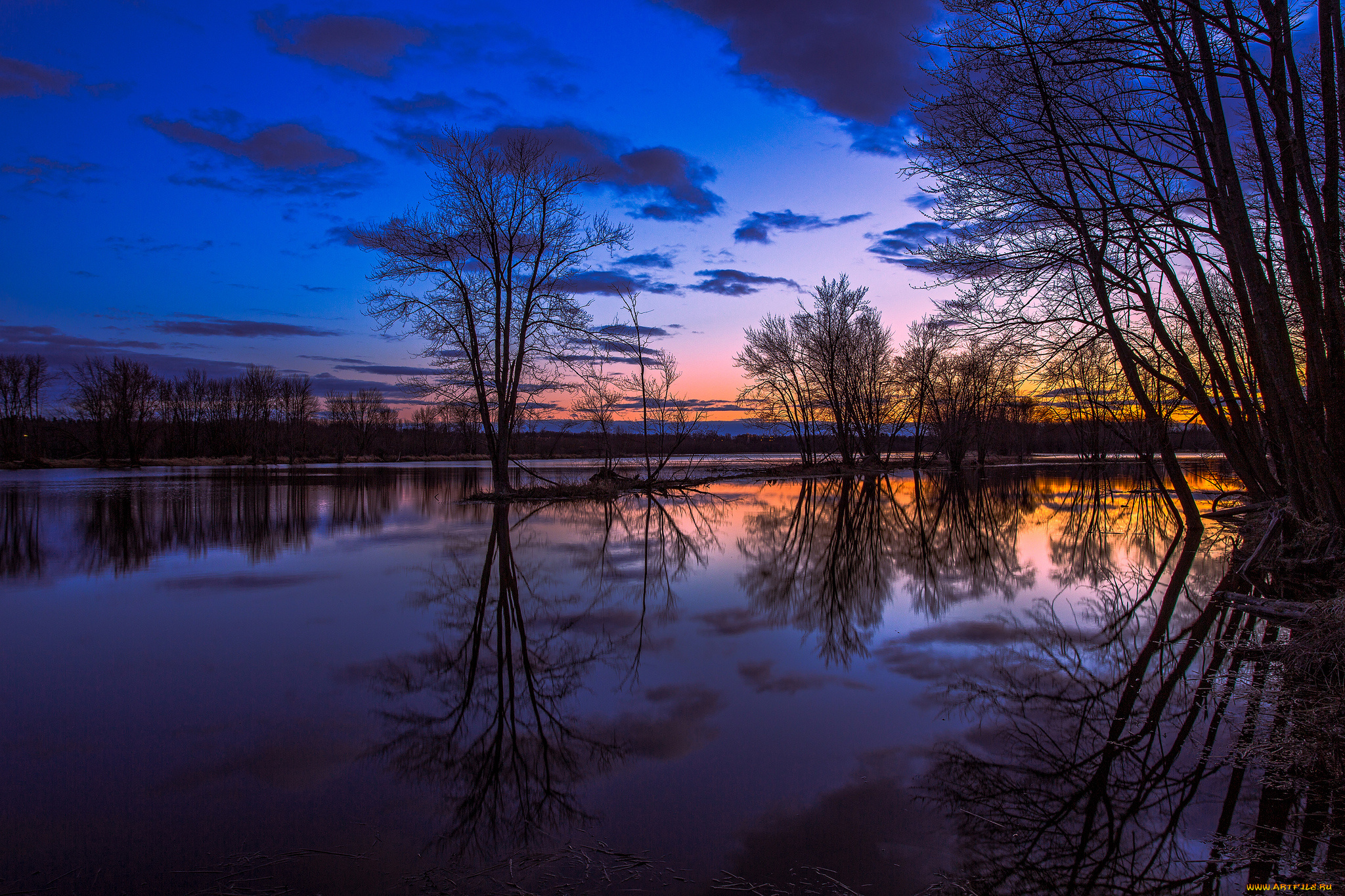 природа озеро отражение деревья небо загрузить