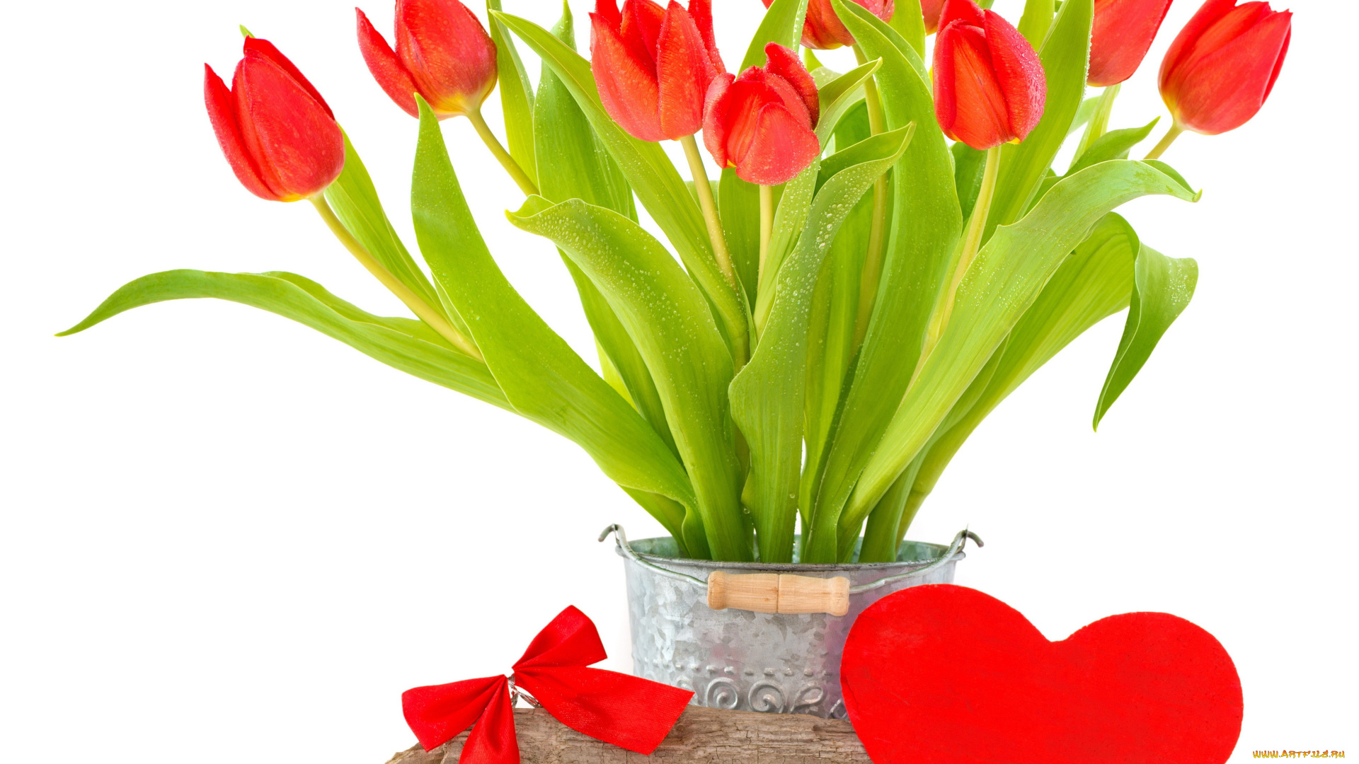 цветы, тюльпаны, fresh, tulips, bouquet, spring, heart, love, red