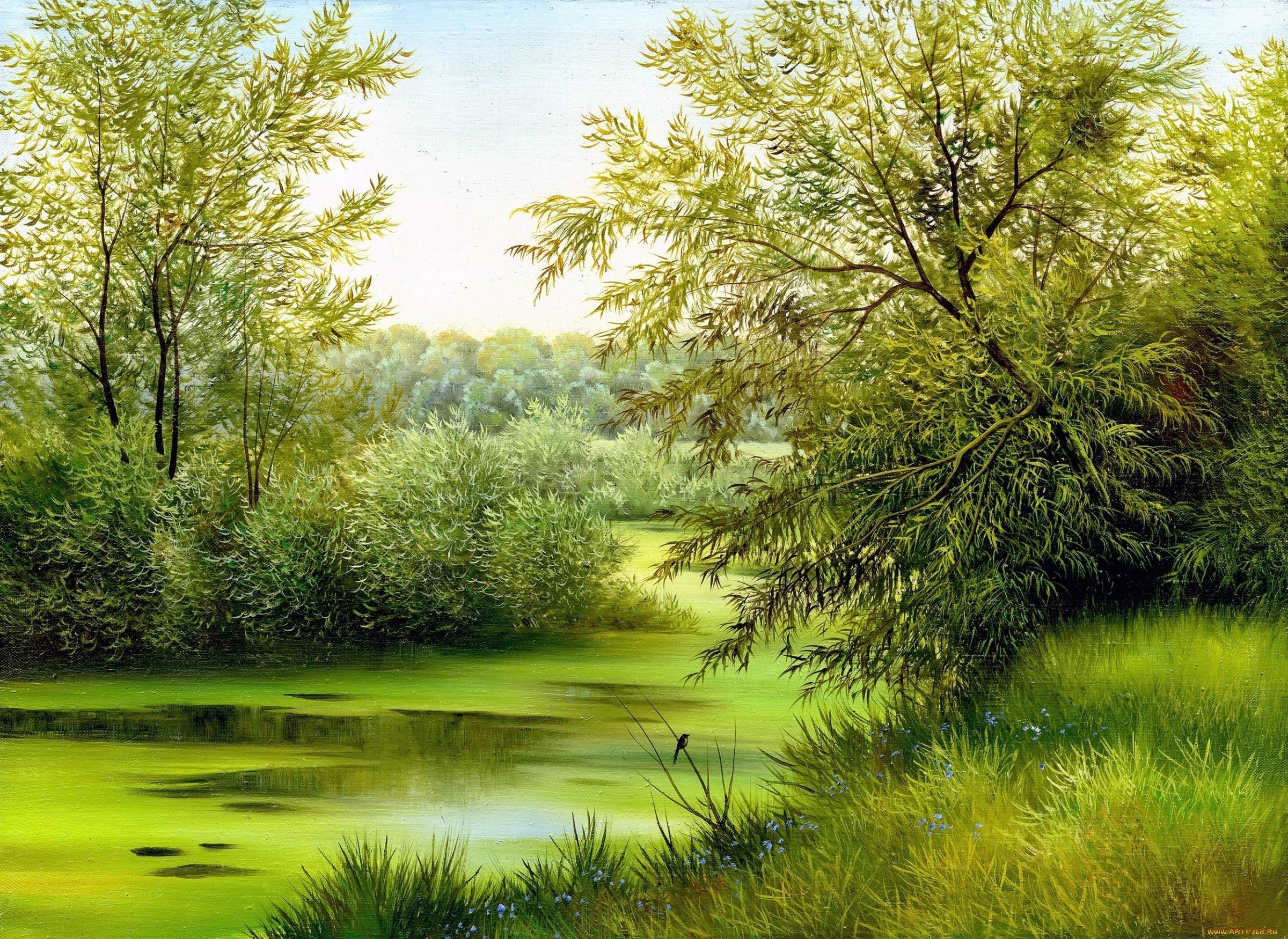 рисованные, природа, кусты, трава, река