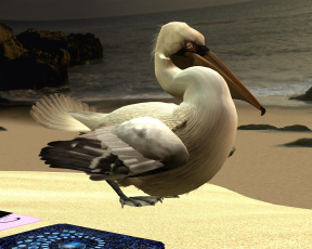 обоя рelikanovom on beach, 3д графика, fantasy , фантазия, пляж, пеликан