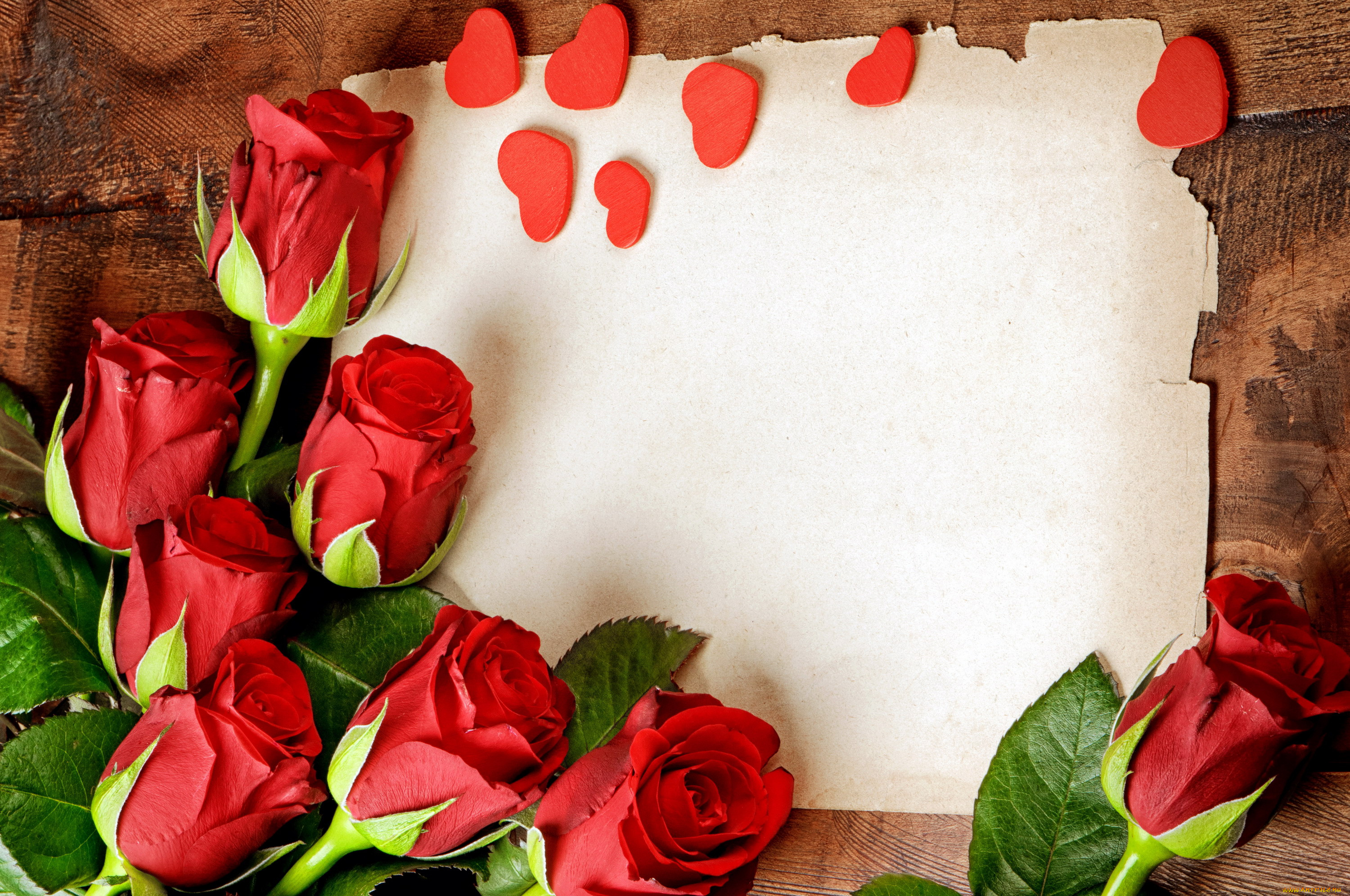 цветы, розы, красный, сердечки, записка