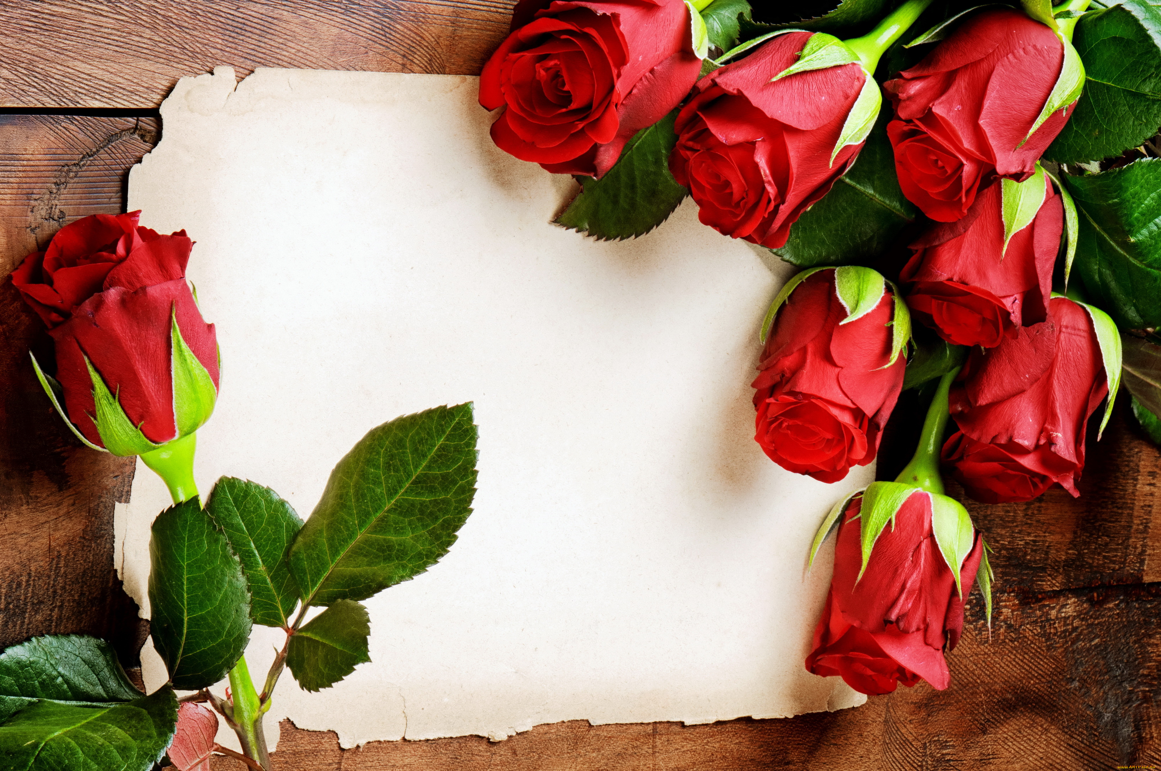 цветы, розы, красные, with, love, romantic, flowers, red, roses
