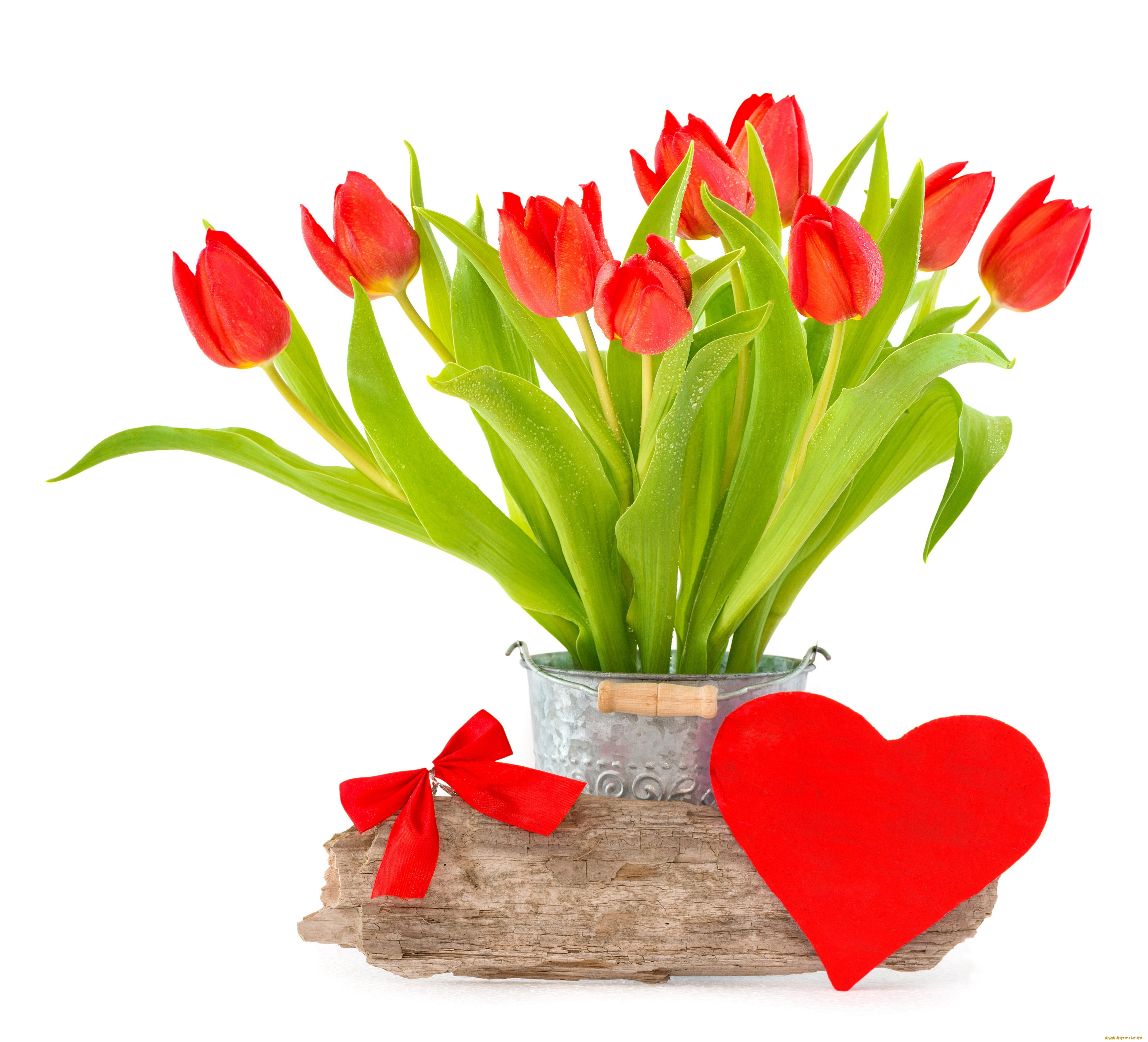 цветы, тюльпаны, fresh, tulips, bouquet, spring, heart, love, red