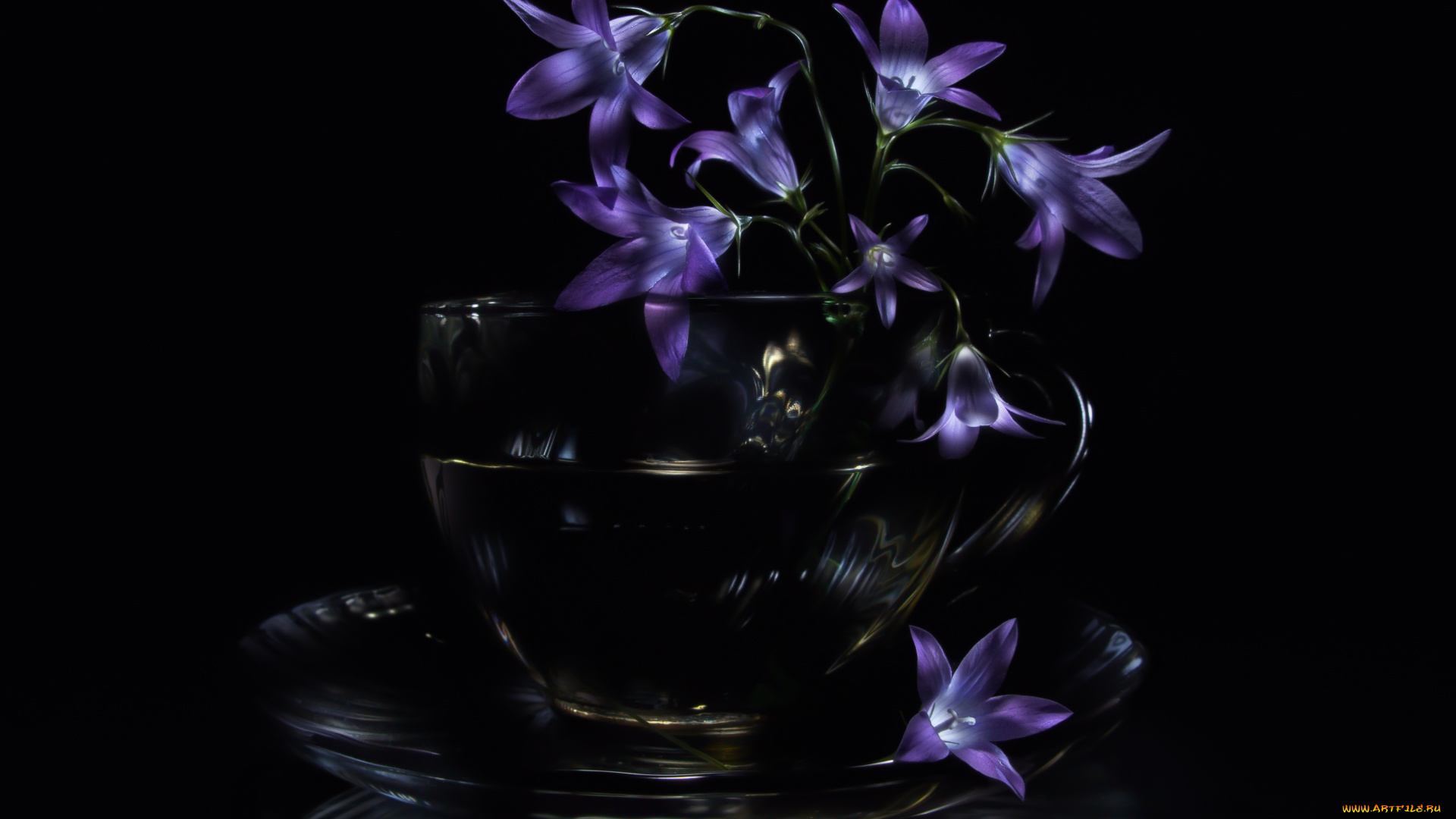 цветы, колокольчики, стеклянная, чашка, тёмный, фон