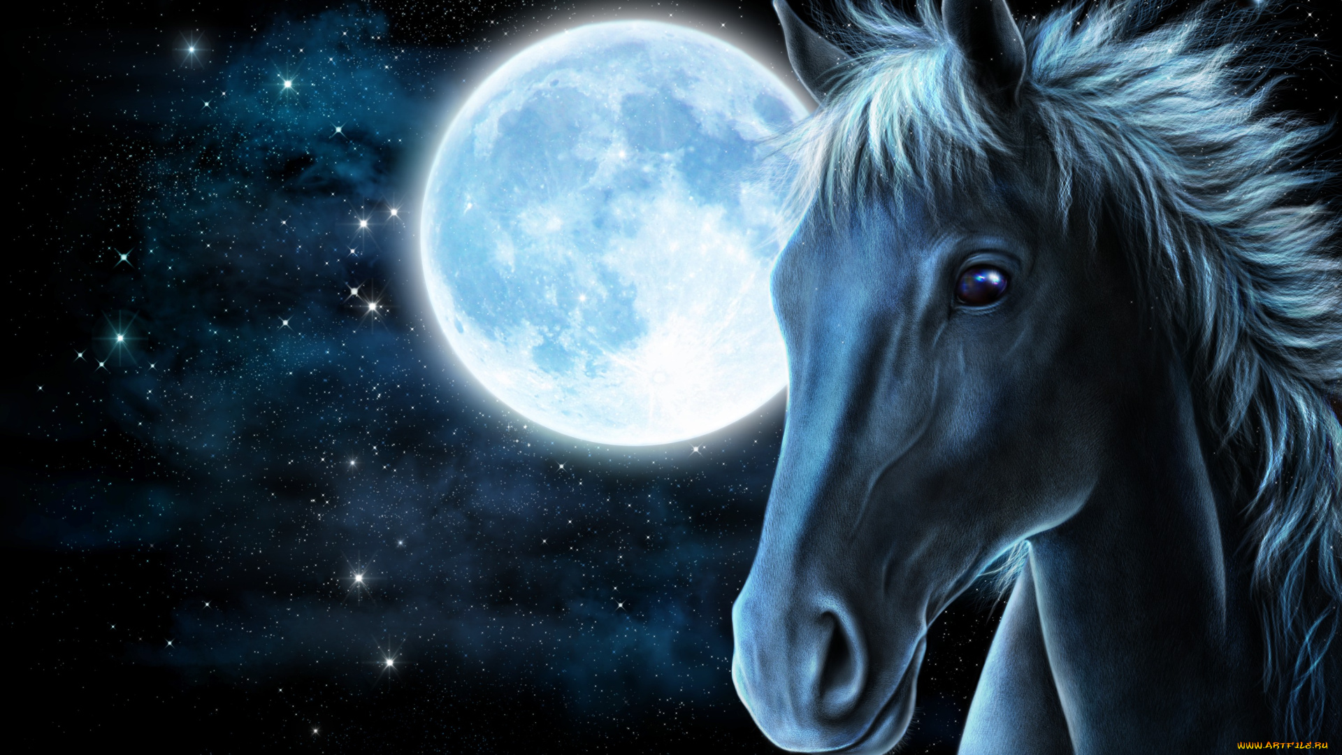 рисованное, животные, , лошади, звезды, луна, морда, конь, лошадь