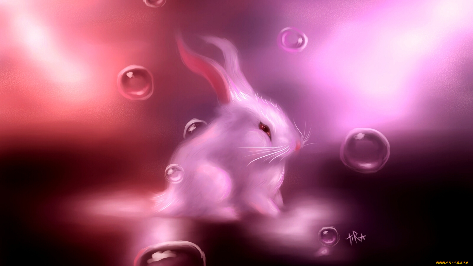 рисованное, животные, , зайцы, , кролики, белый, заяц, пузырьки, розовый, зайчик, кролик
