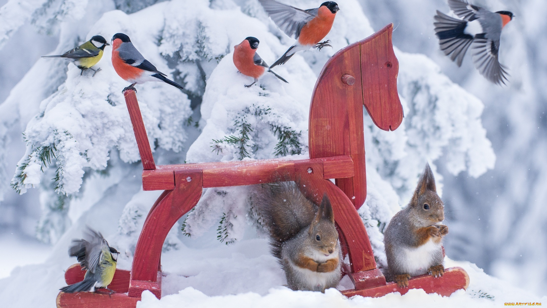 животные, разные, вместе, squirrel, природа, лес, ситуация, лошадь, лошадка, игрушка, птицы, синицы, horse, birds, nature, situation, toy, белка, emi