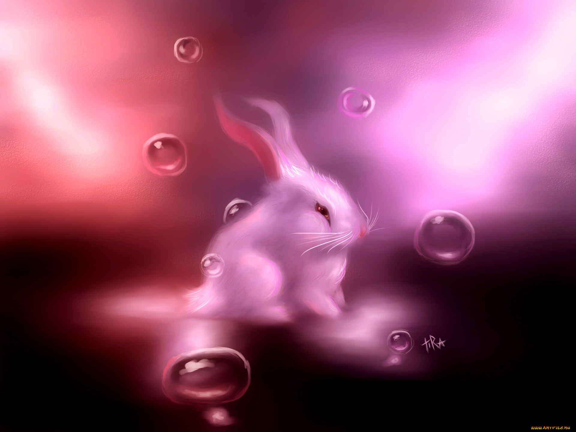 рисованное, животные, , зайцы, , кролики, белый, заяц, пузырьки, розовый, зайчик, кролик