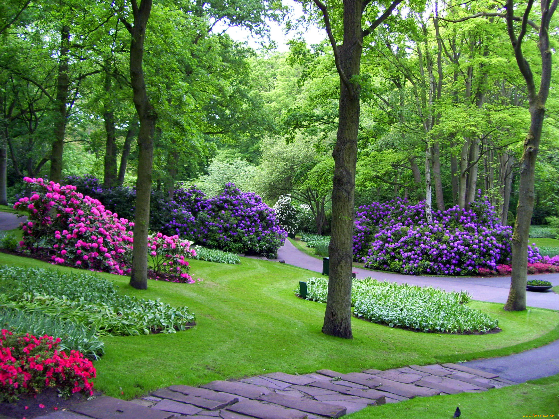 природа, парк, keukenhof, gardens