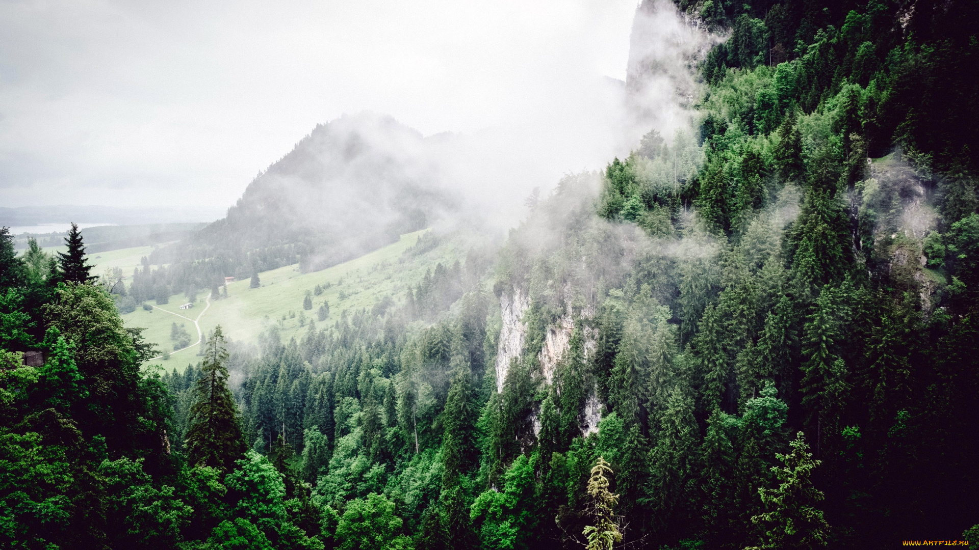природа, горы, туман
