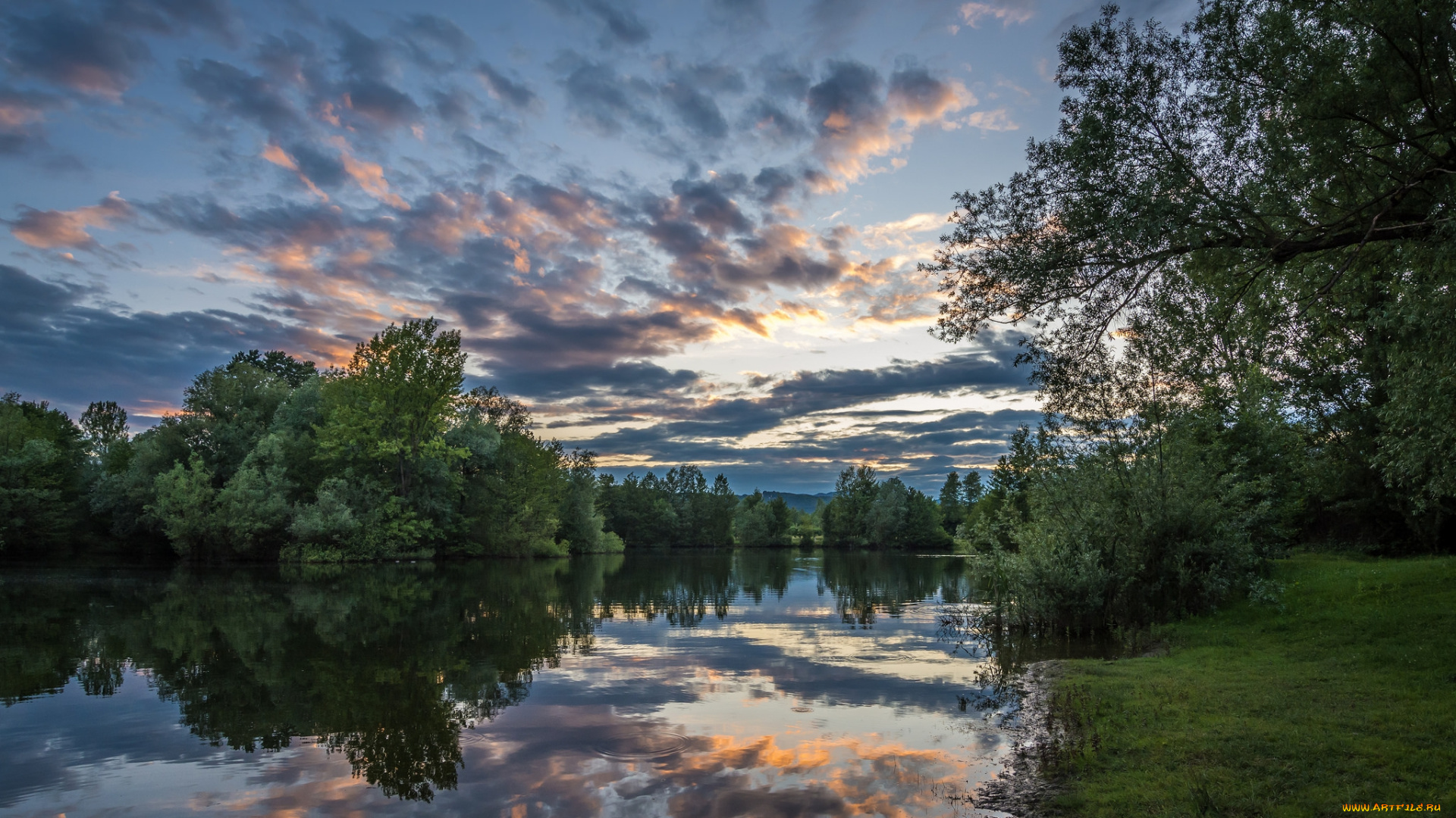 природа, реки, озера, река, лес