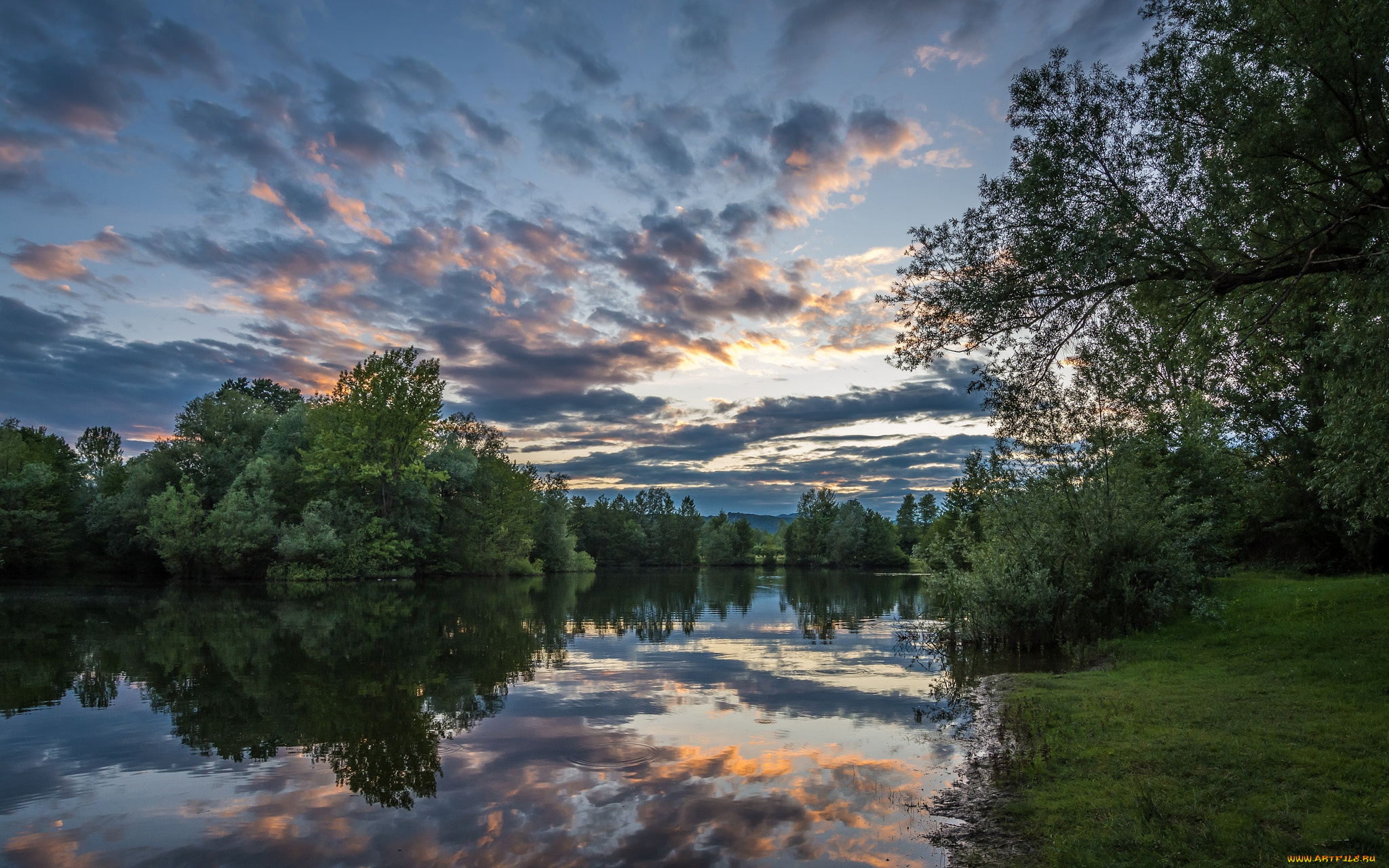 природа, реки, озера, река, лес