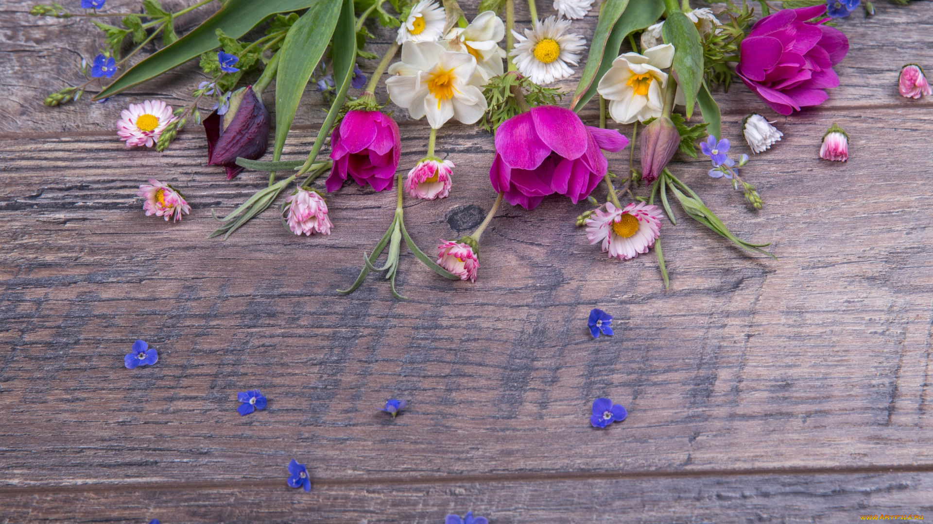 цветы, разные, вместе, colorful, весна, бутоны, flowers, лента, букет, spring, pink, wood