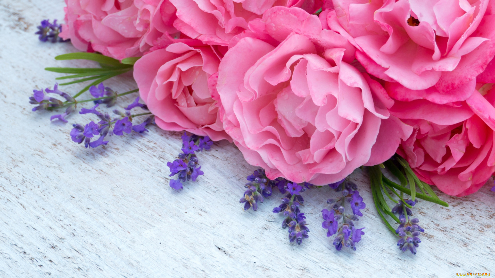 цветы, разные, вместе, розовые, lavender, пионы, pink, лаванда, peonies, flowers