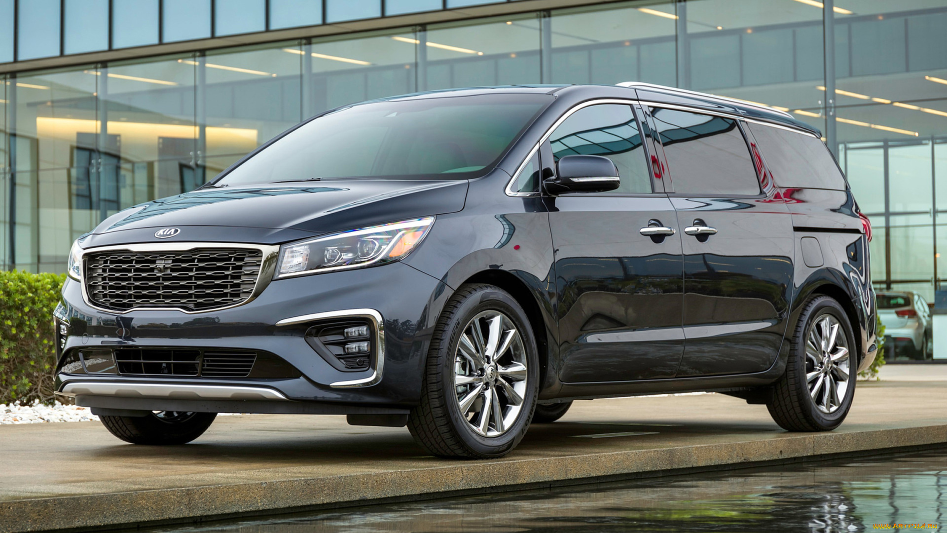 kia, sedona, 2019, автомобили, kia, 2019, sedona