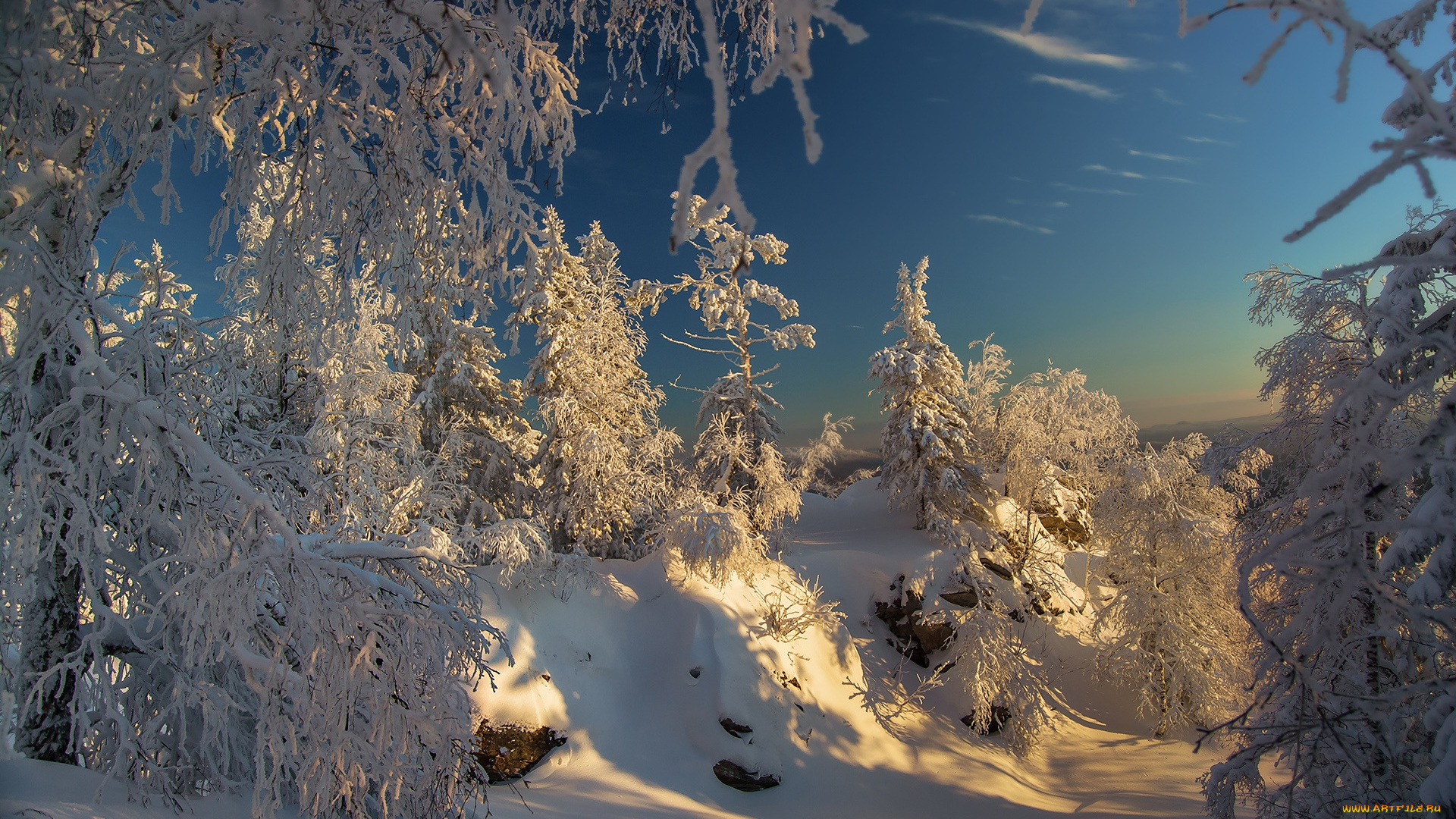 природа, зима, небо, снег, зимний, лес