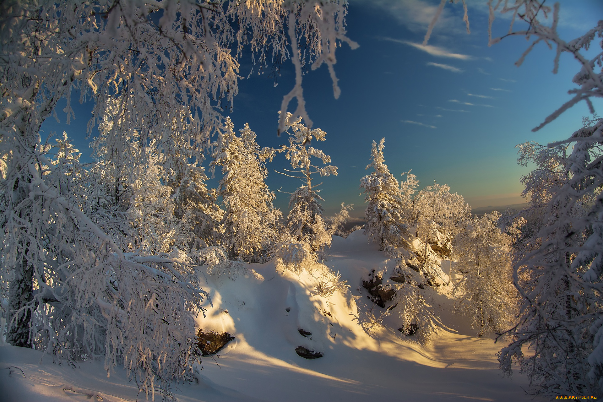 природа, зима, небо, снег, зимний, лес