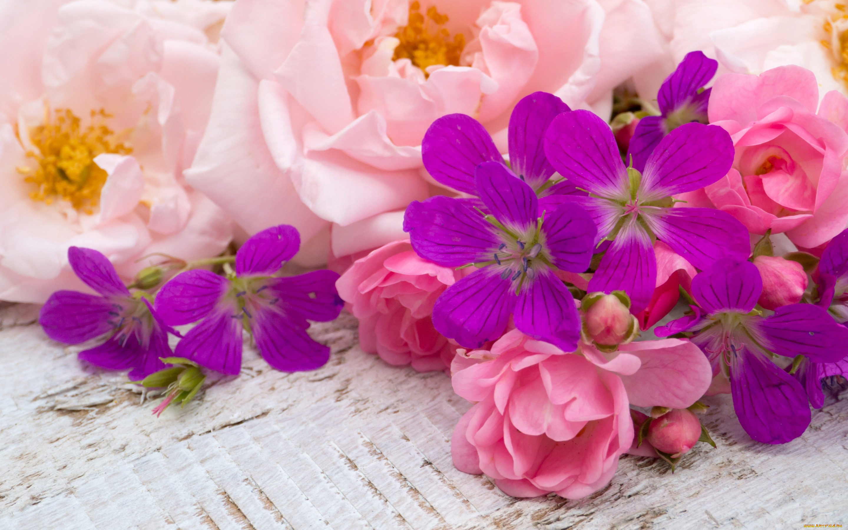 цветы, разные, вместе, бутоны, розовые, wood, bud, pink, flowers