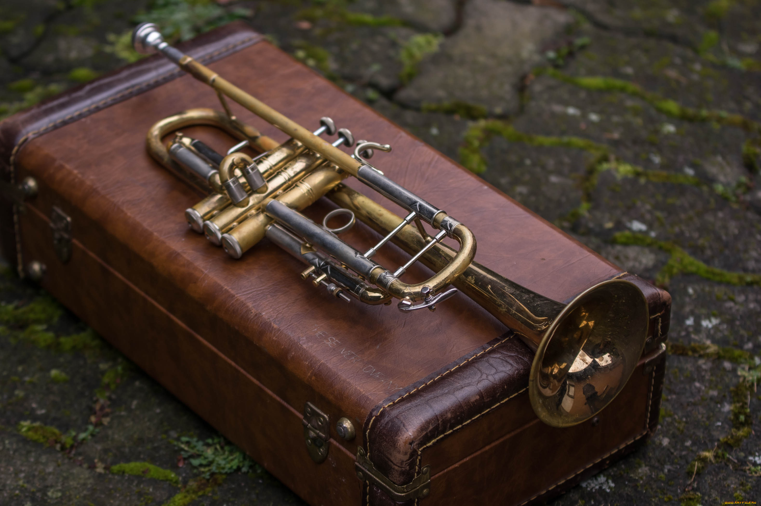 музыка, -музыкальные, инструменты, труба