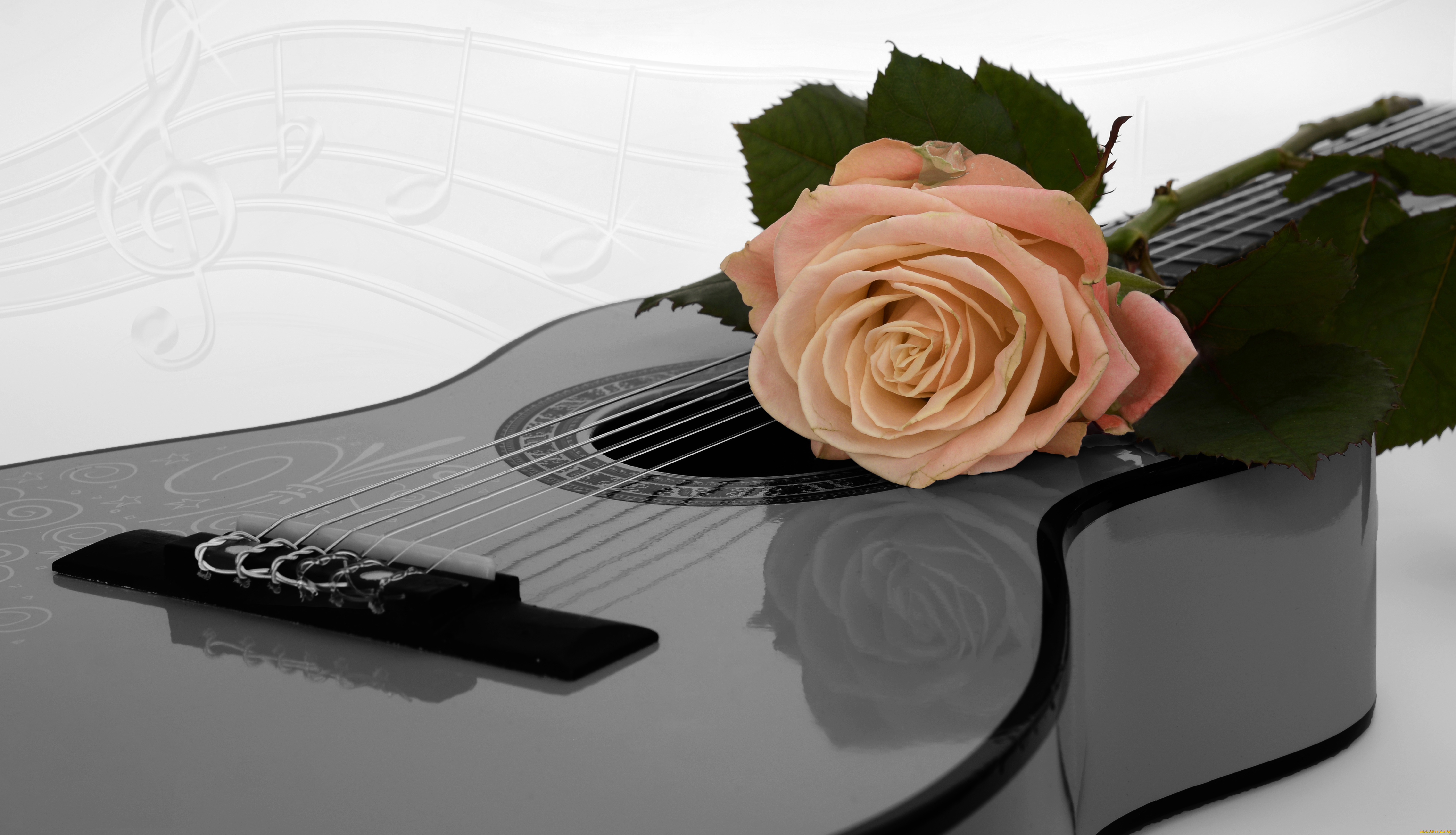 музыка, -музыкальные, инструменты, цветок, гитара