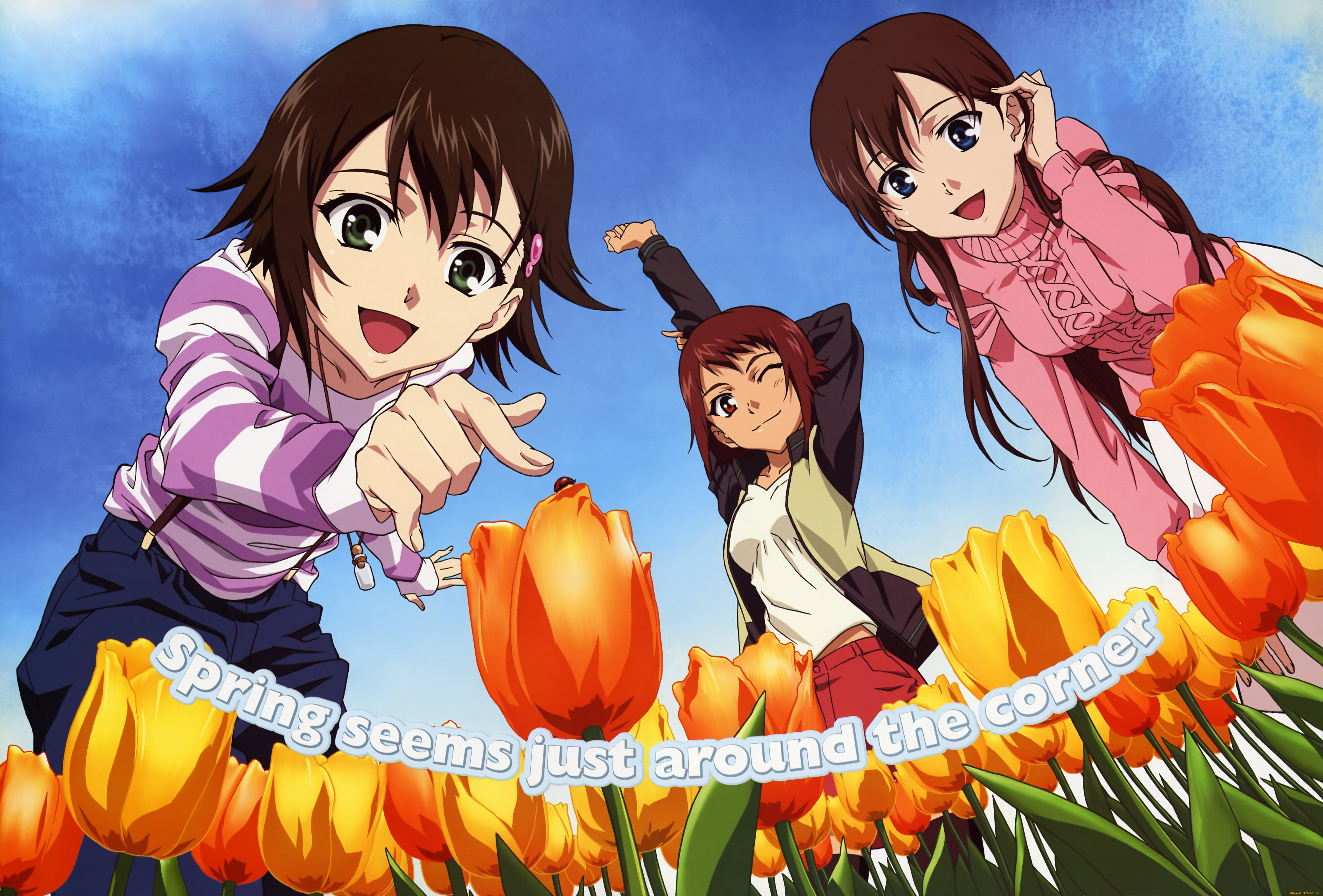 аниме, unknown, , другое, , цветы, тюльпаны, небо, девочки