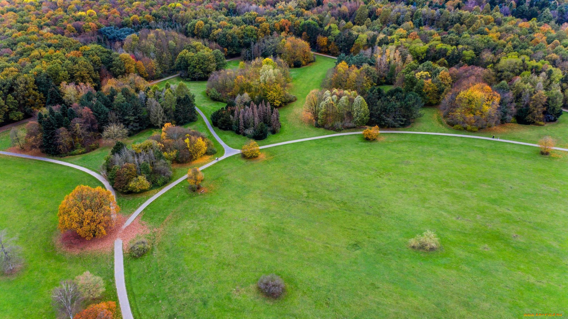 природа, парк, панорама, лужайки