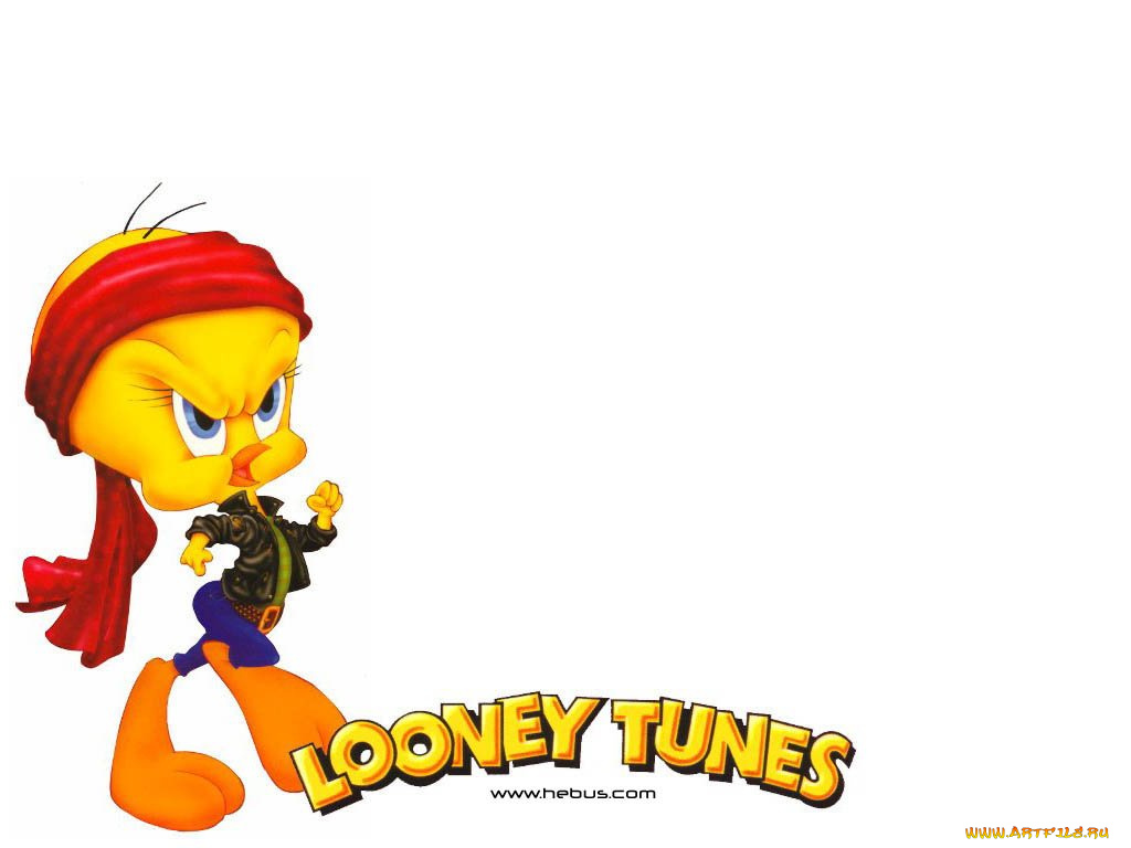 loony, toons, мультфильмы, looney, tunes