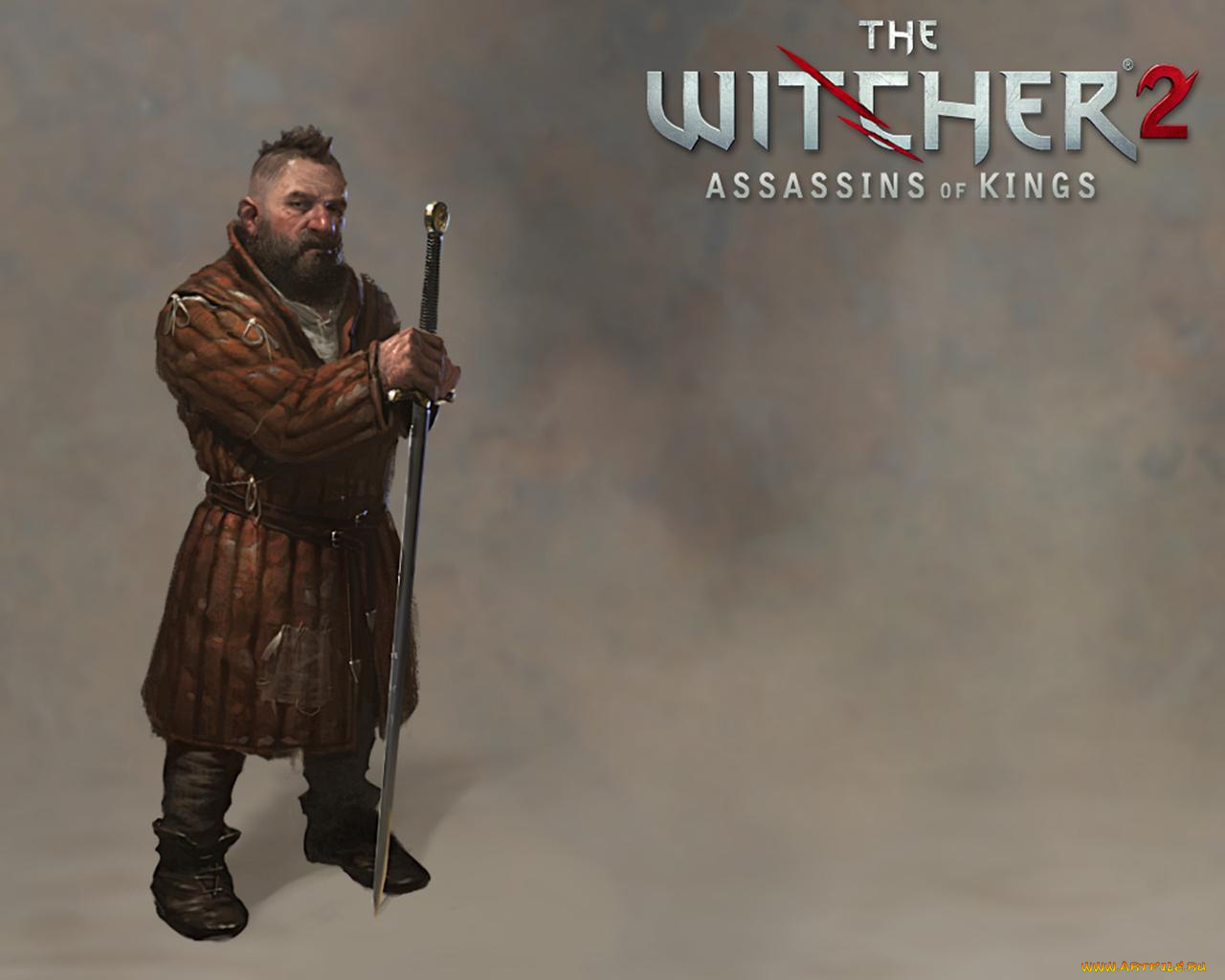 the, witcher, assassins, of, kings, видео, игры