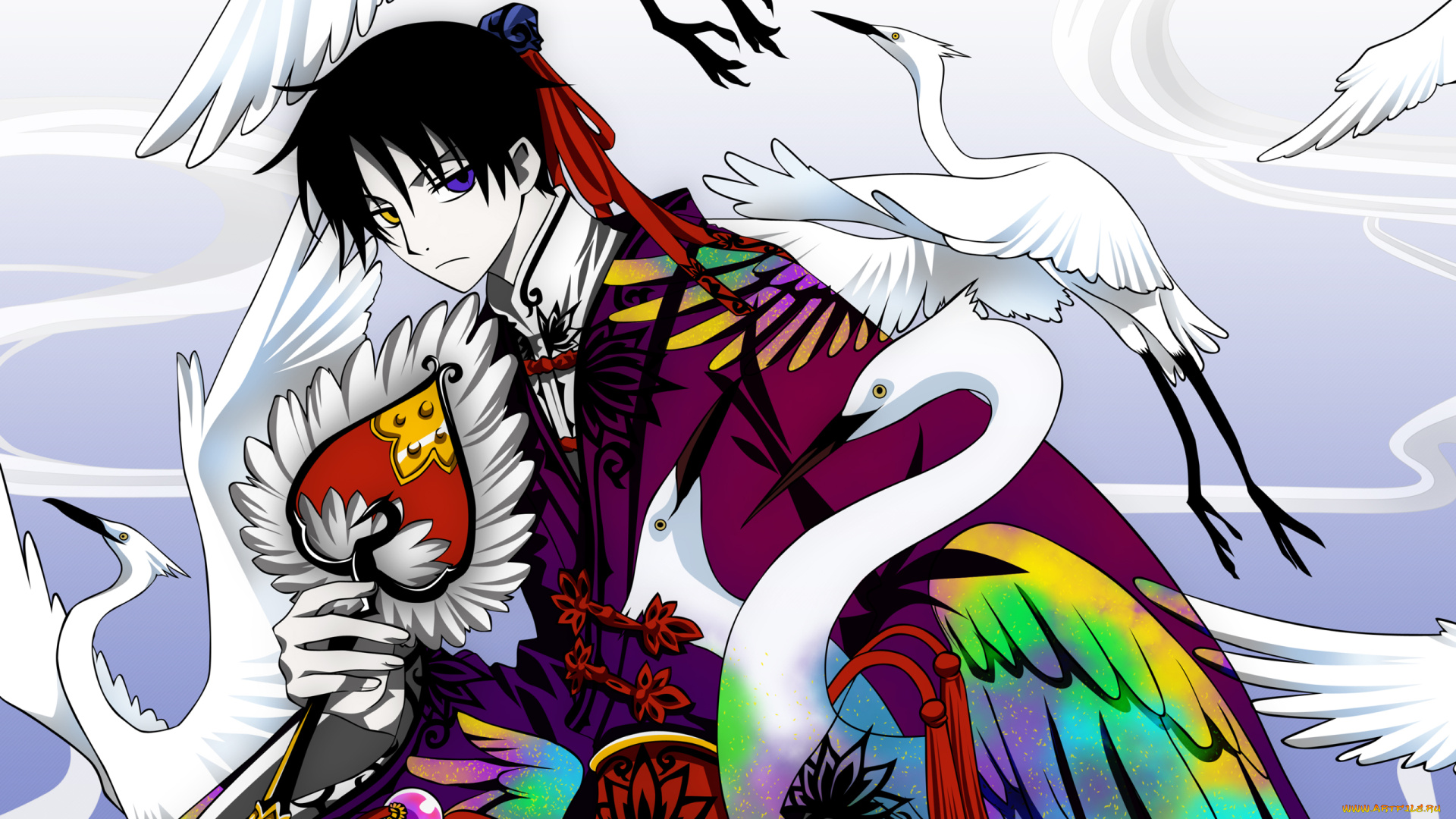 аниме, xxxholic