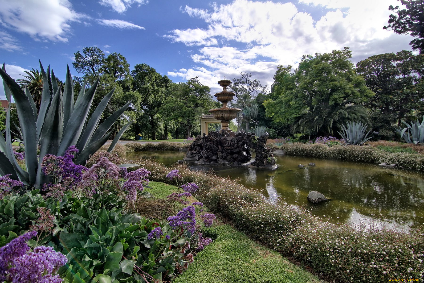 fitzroy, gardens, природа, парк, австралия