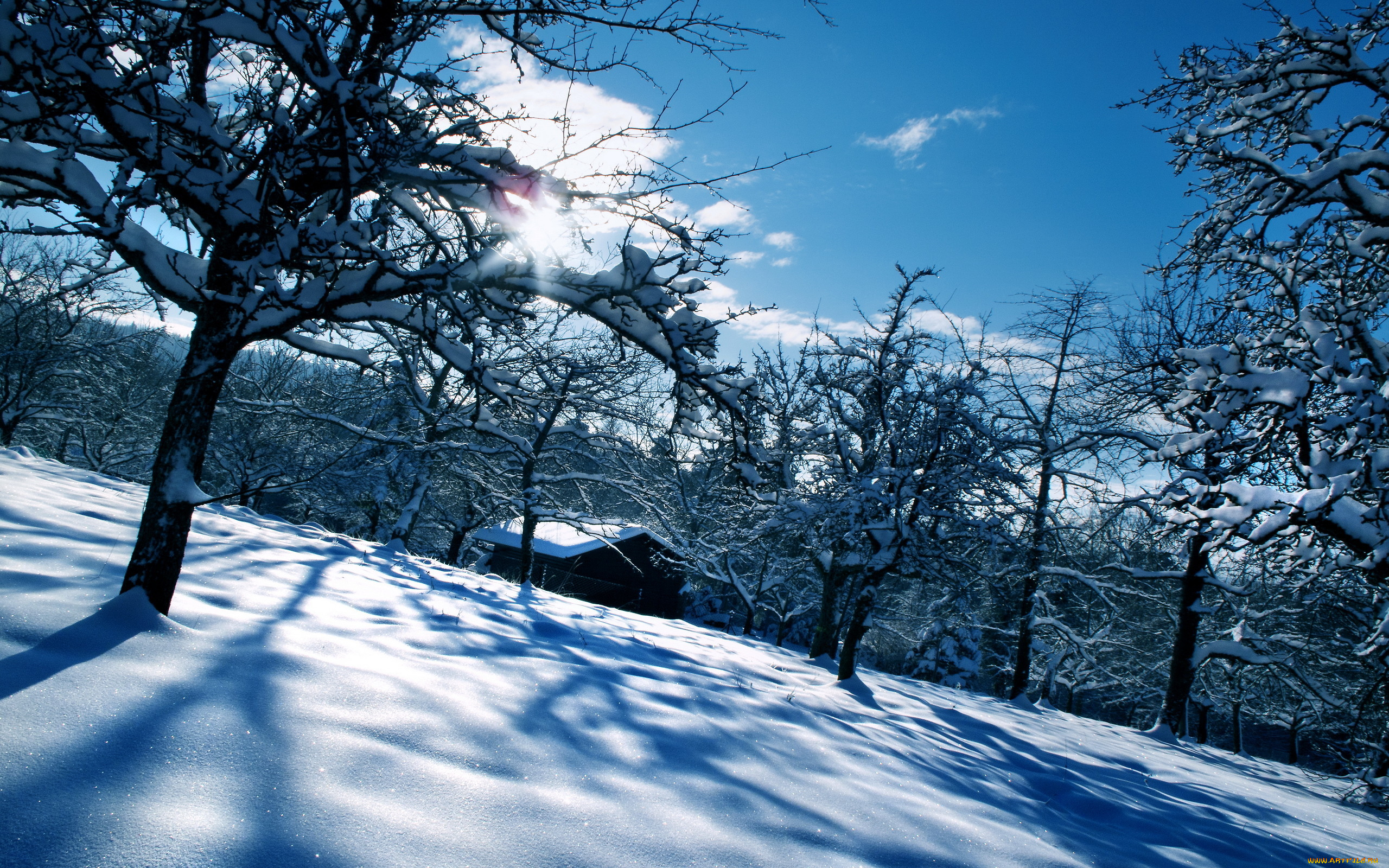 природа, зима, деревья, дом, снег