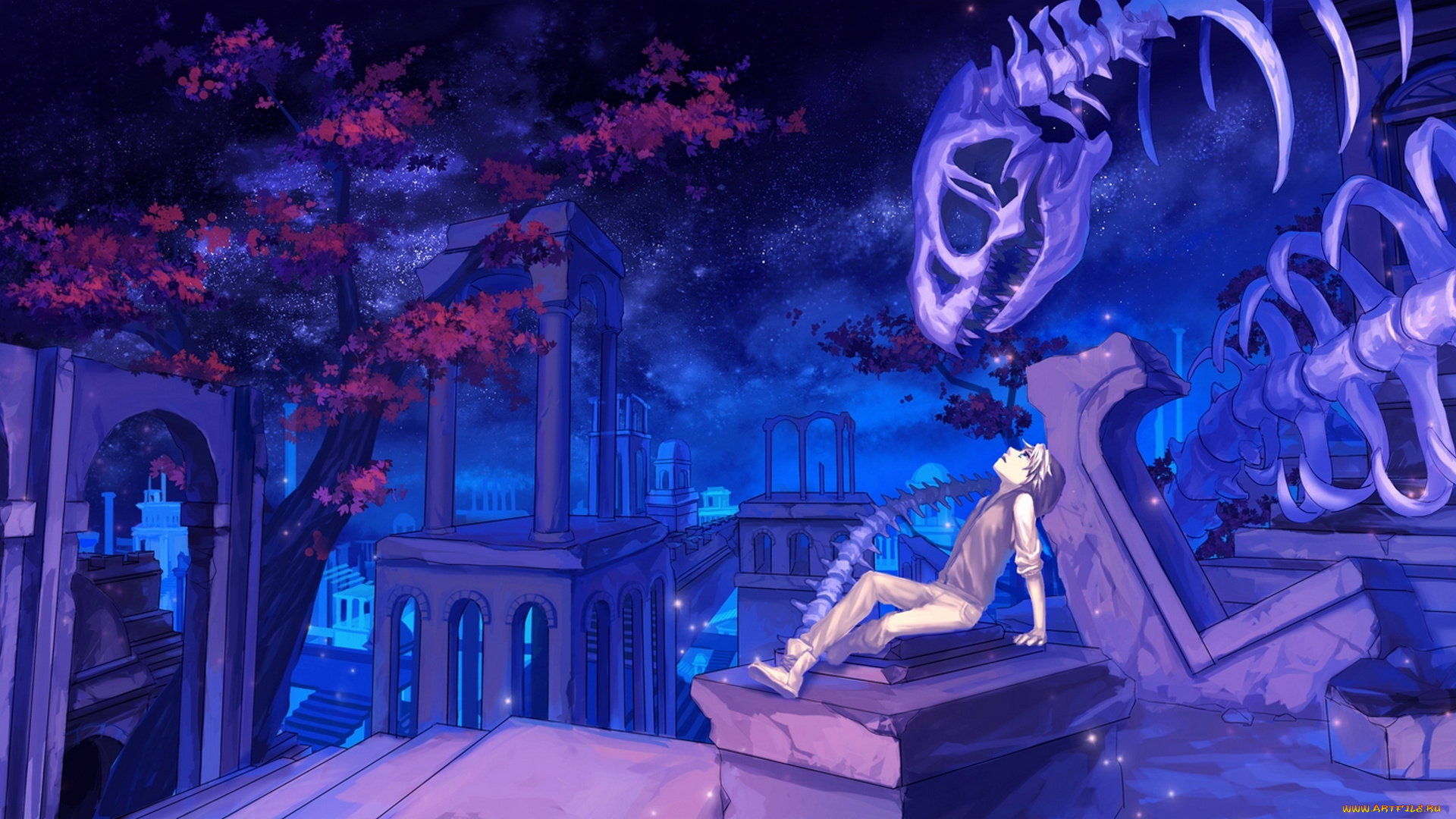 аниме, *unknown, , другое, скелет, ночь, парень, арт, mizukai, колонны, руины, звезды, небо, цветы