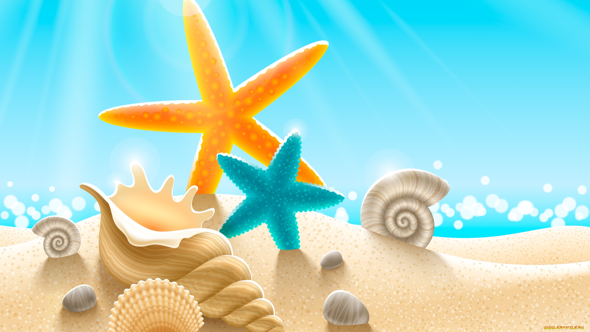 векторная, графика, ракушки, морские, звезды, свет, песок, вода, пляж