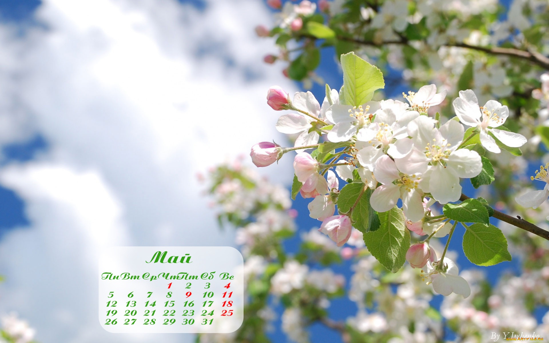 календари, цветы, весна