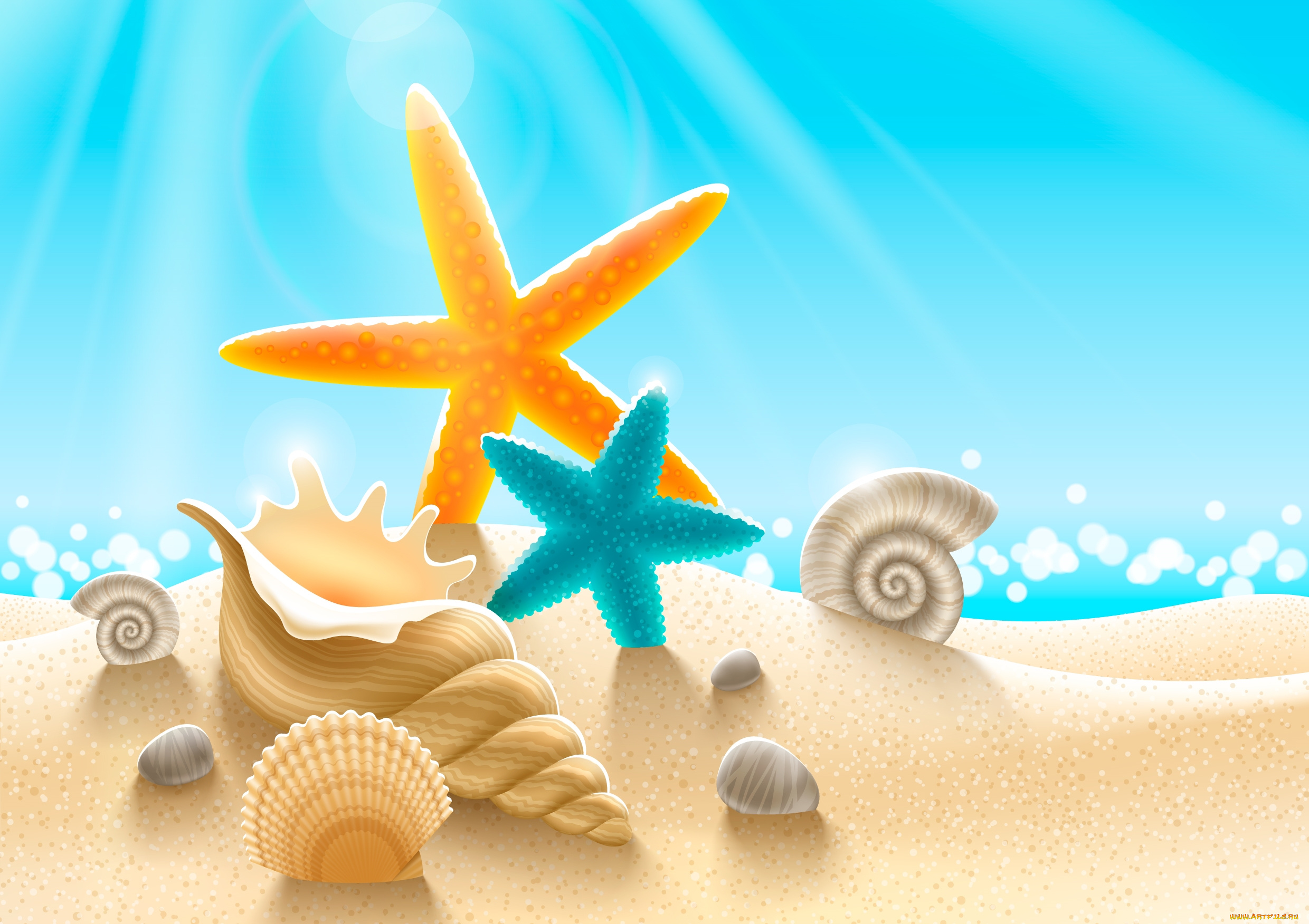 векторная, графика, ракушки, морские, звезды, свет, песок, вода, пляж