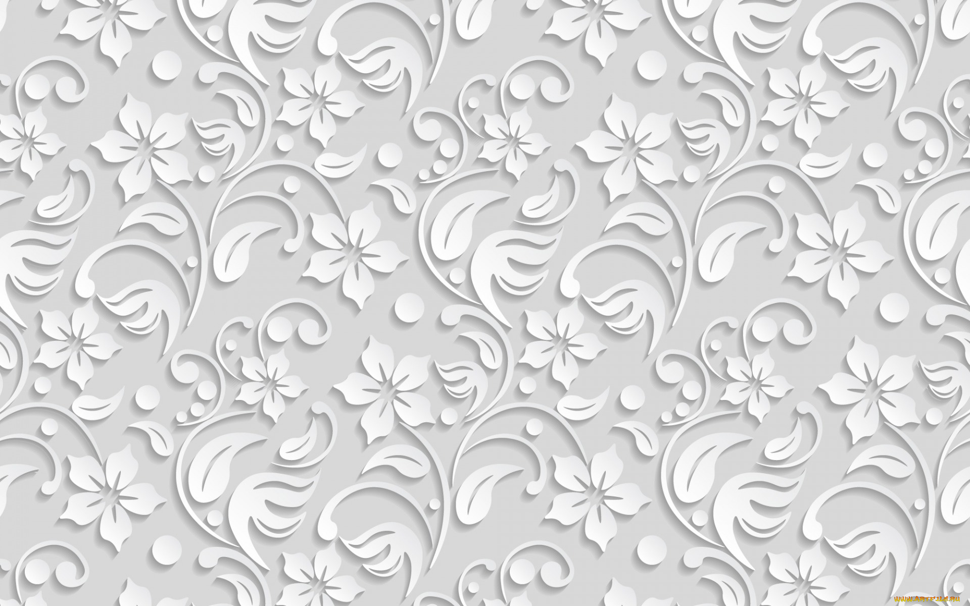 векторная, графика, цветы, , flowers, текстура, background, flower, white, pattern, цветы